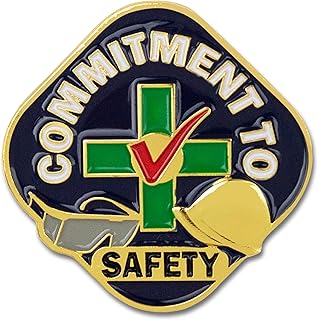 Achievement Academic Lapel Pins for Students Employees