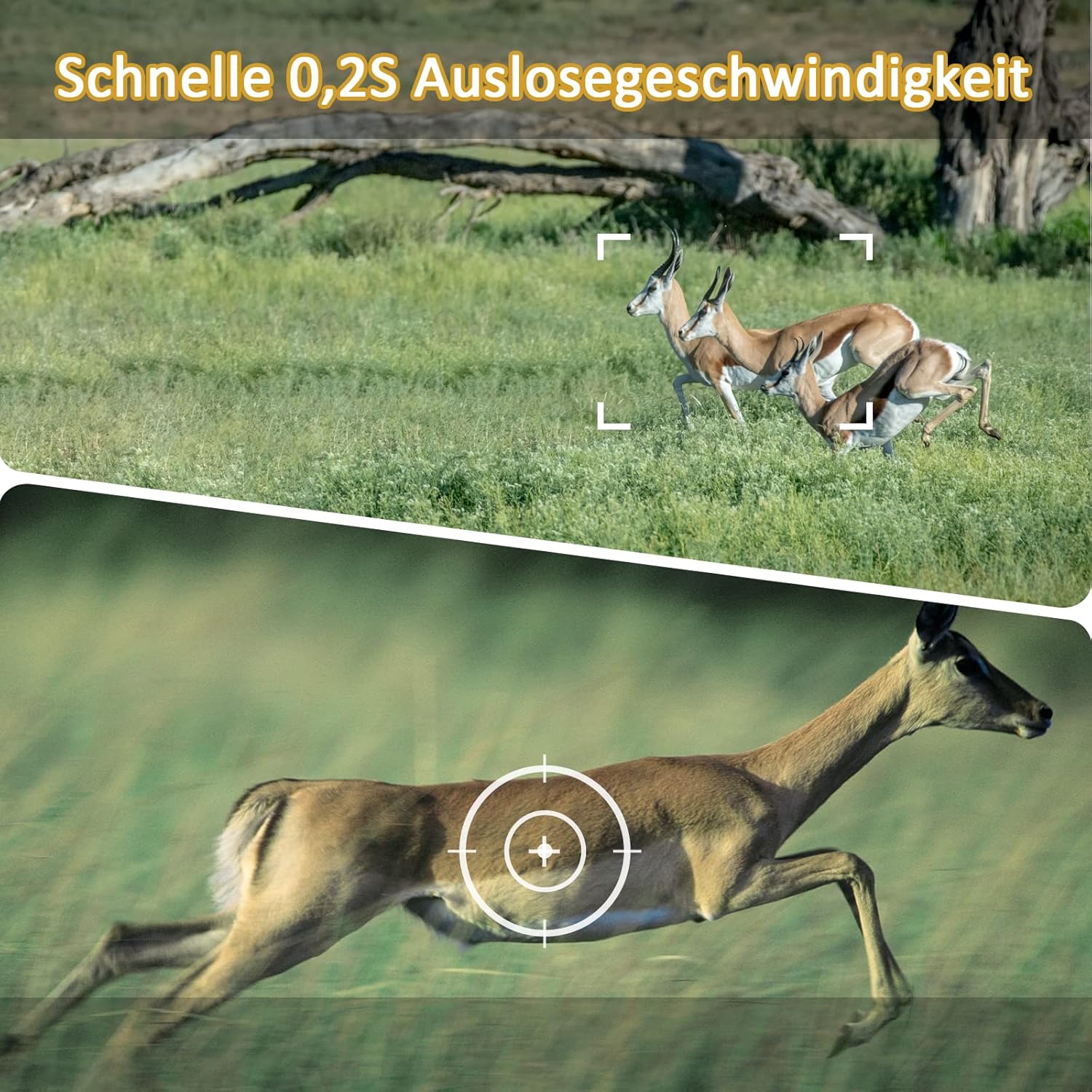 Deer running, demonstrating the camera's rapid 0.2-second trigger speed for capturing wildlife in motion.