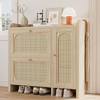 Mericonia Shoe Cabinet Storage Entryway 2