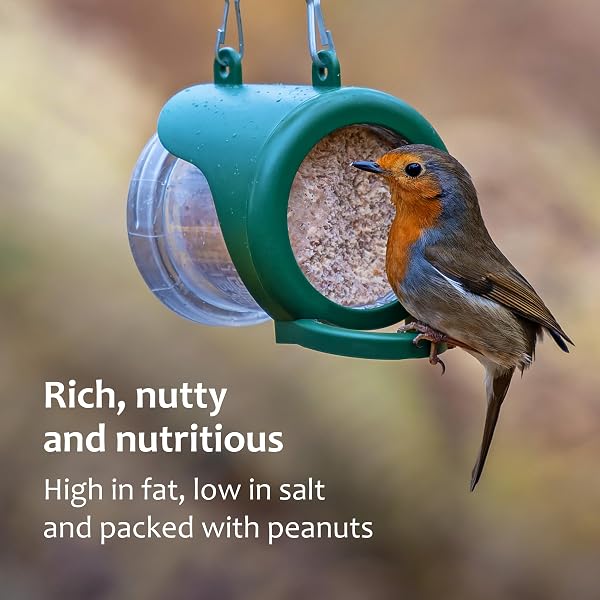 Peanut Butter for Birds - Jacobi Jayne Flutter Butter EcoRefills - Original Flavour Wild Bird Food - Ultra-Convenient Eco-Friendly Bird Feed - Pack of 3 Refills, Original - 2