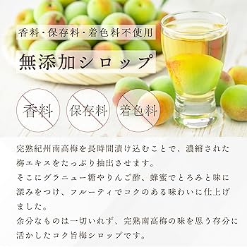 Amazon.co.jp: 熟成 紀州南高梅 濃い 梅シロップ 500ml 2本