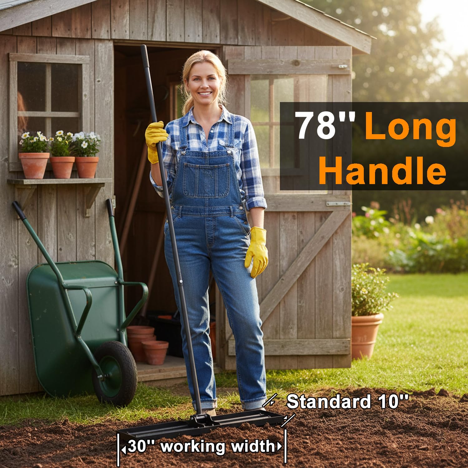 https://m.media-amazon.com/images/I/81TTZIKDL5L.jpg