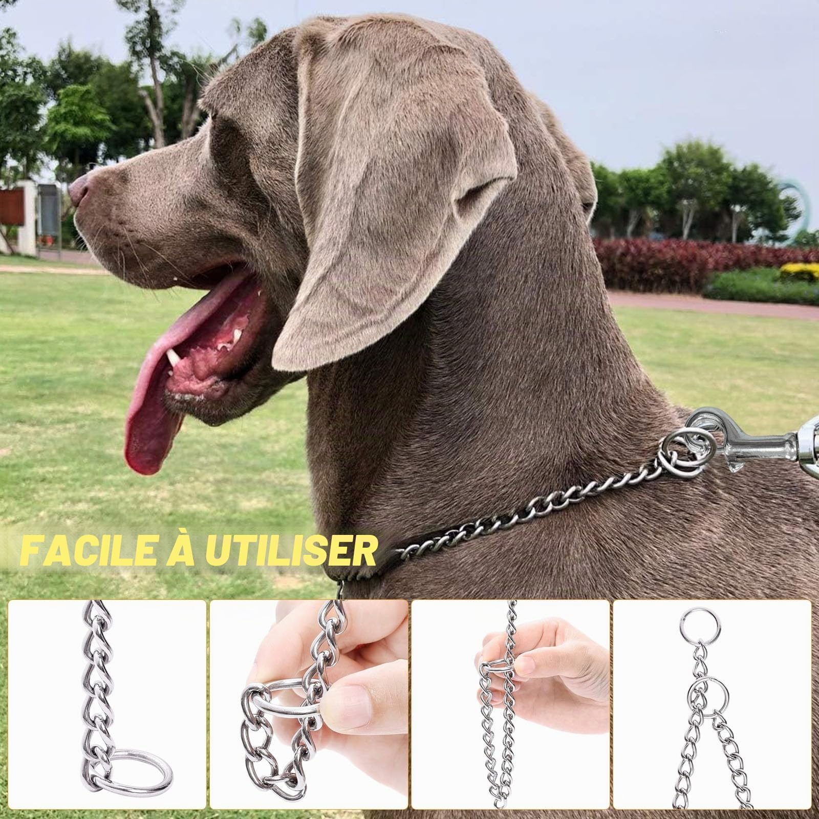 65cm Collier Etrangleur Chien 128cm Laisse Chaine pour Chien, Acier Inoxydable Collier Chaine pour La Plupart des Chiens l'entraînement et Les Promenades
