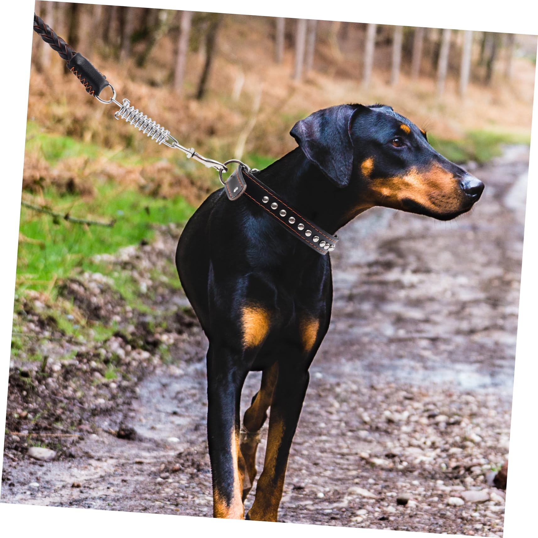 HEMOTON Guinzaglio di Grande in Pelle Naturale Corda da Passeggio Resistente all Usura per Animali Domestici Facile da Indossare per Spasso