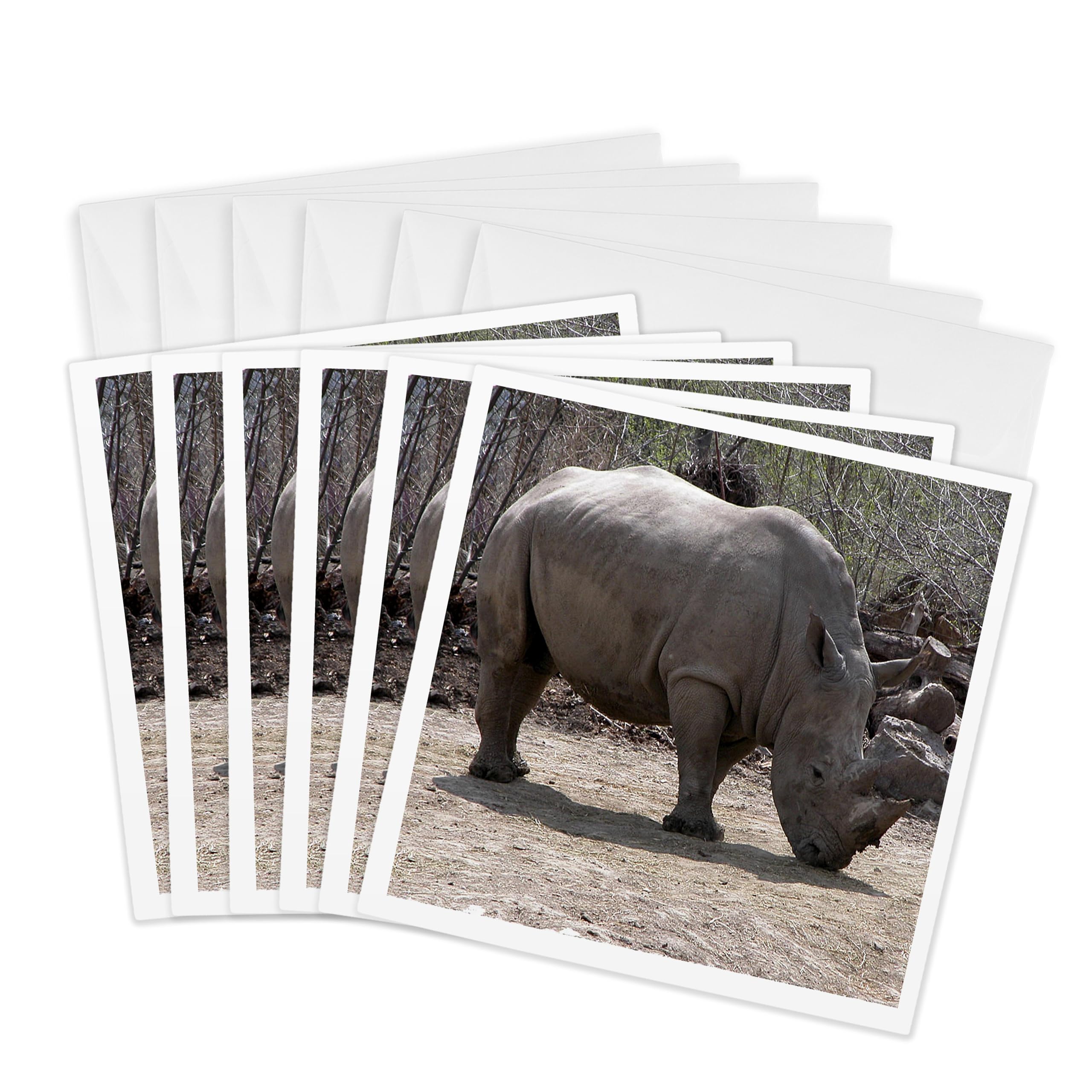 3Drose Rhino - Greeting Cards, 6 by 6-inches, Set of 6 (gc_12191_1)