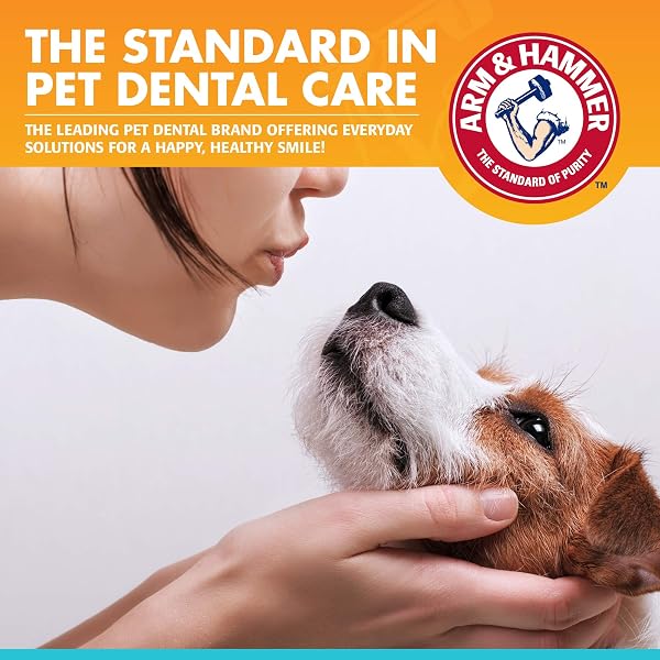 Arm & Hammer Dog Dental Care Fresh Breath Enzymatic Toothpaste for Dogs | No More Doggie Breath | Safe for Puppies, Advanced Care, Chicken Flavor Fresh Breath Chicken - 4