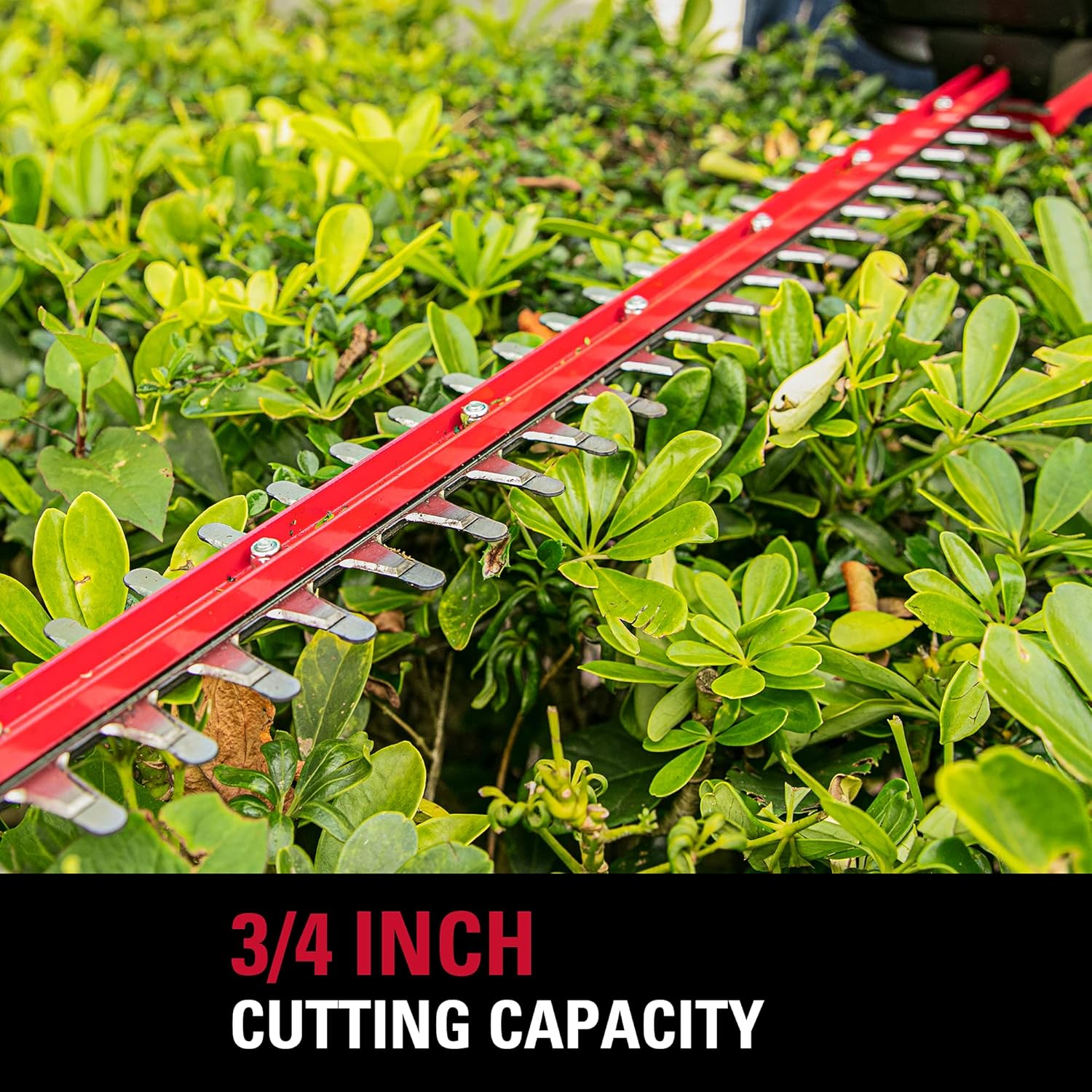 review POWERWORKS 40V 24 Inch Cordless Hedge Trimmer Electric Grass Trimmer, Dual Action Blade & 3/4