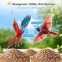 Vista 5 de Cámara de pájaro con ventana de enfoque cerrado, 2K 3MP con cable, cámara de pájaro con ventosa de cristal, identificación de pájaros, tarjeta