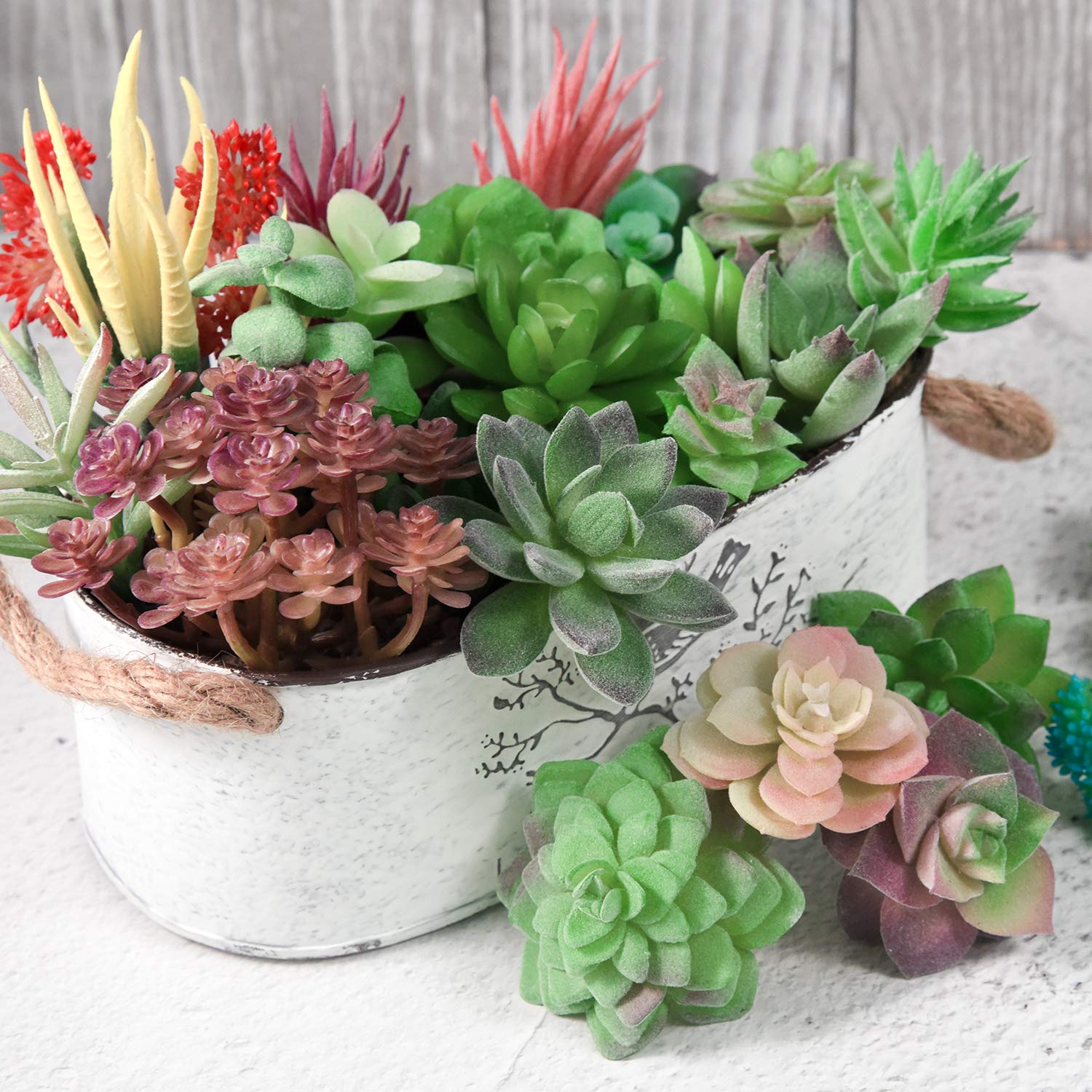 Piante Succulente Artificiali 14 Pezzi - Set Per Decorazioni Casa E Giardino - Foto 6