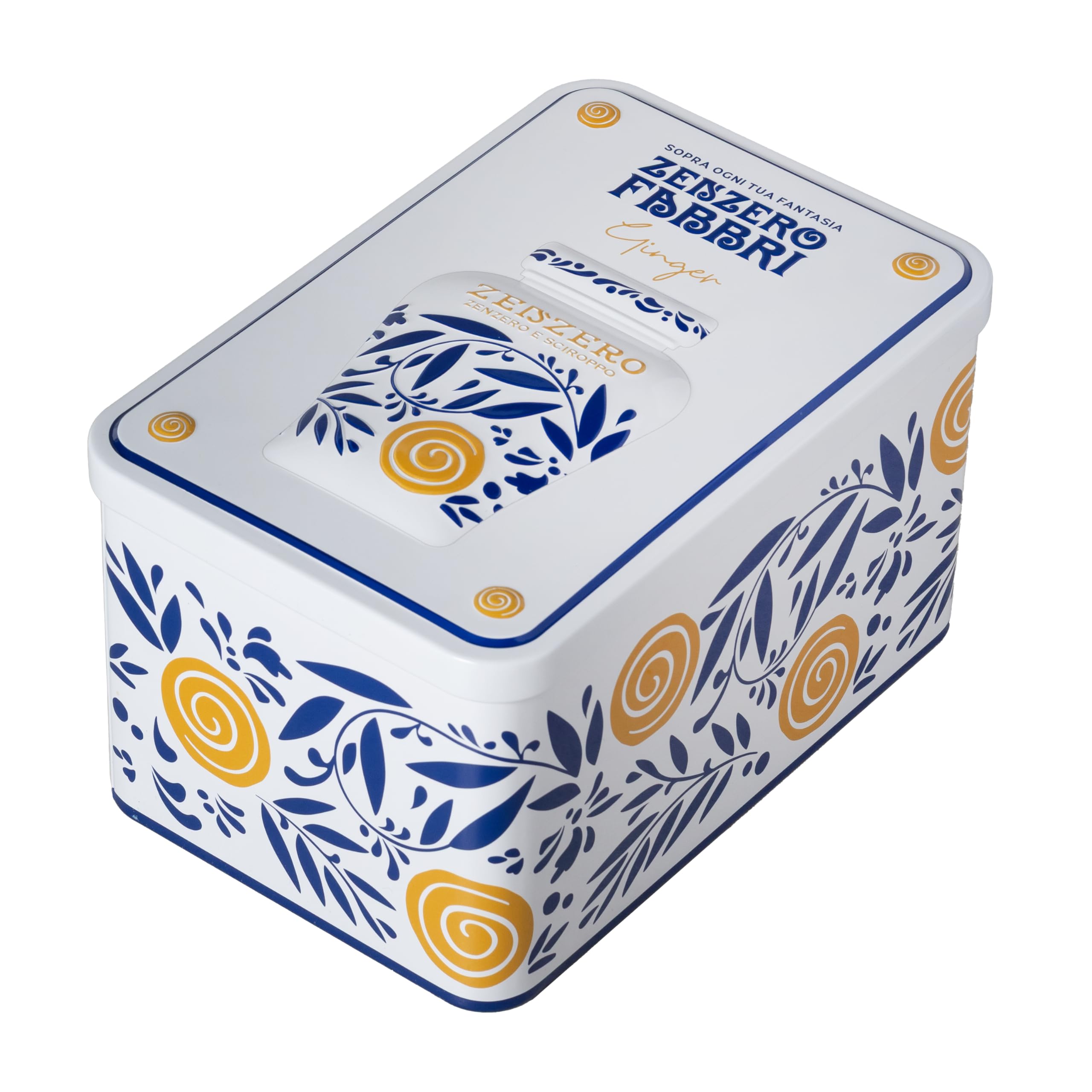 Latta Regalo Zenzero Fabbri 600g con cucchiaino e ricettario