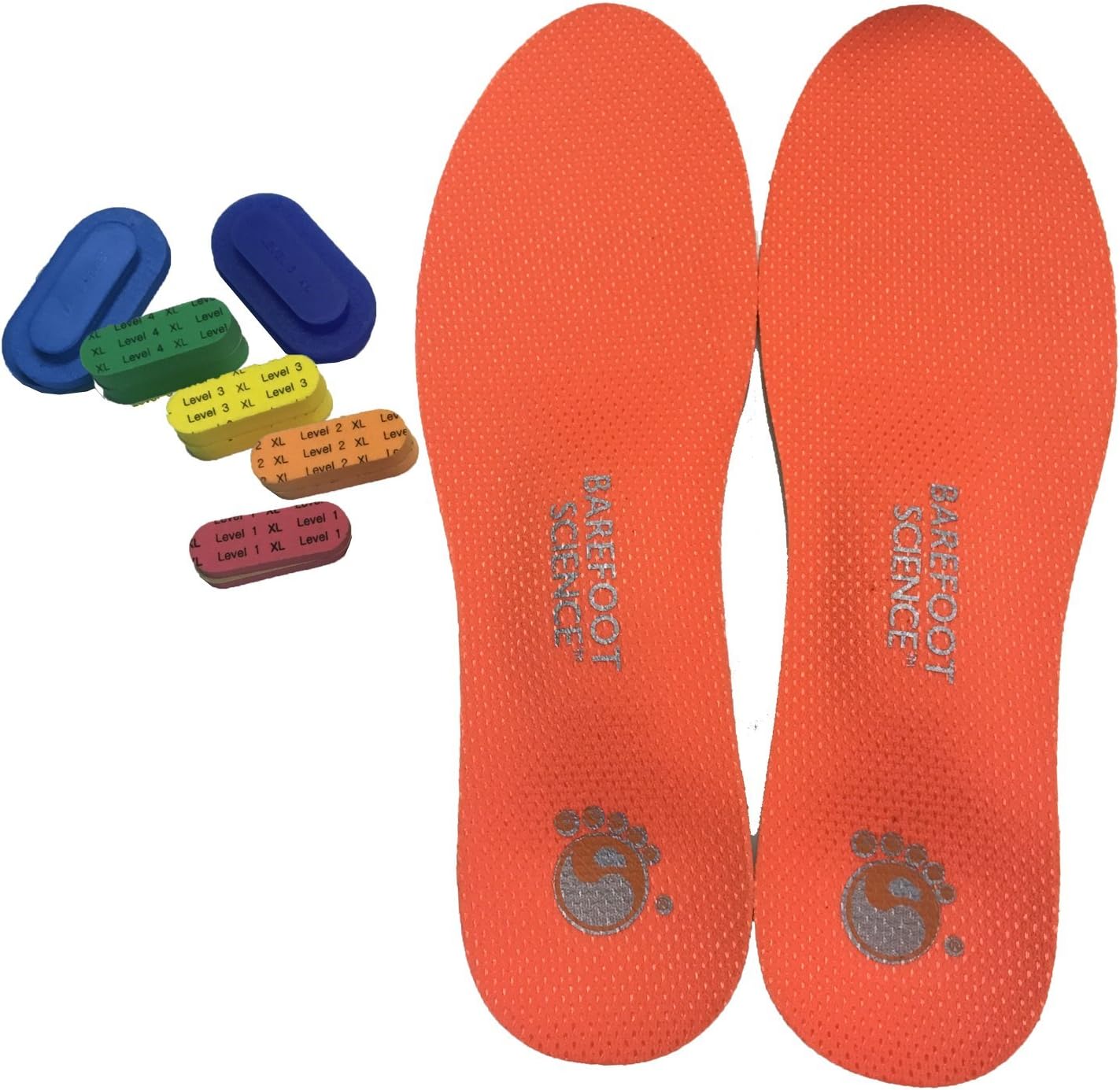 BAREFOOT SCIENCEBarefoot Science - Full Length 6 Step Active Arch Activation Foot Support Insoles - Medium - Ladies: 10-11.5, Men: 8-9.5