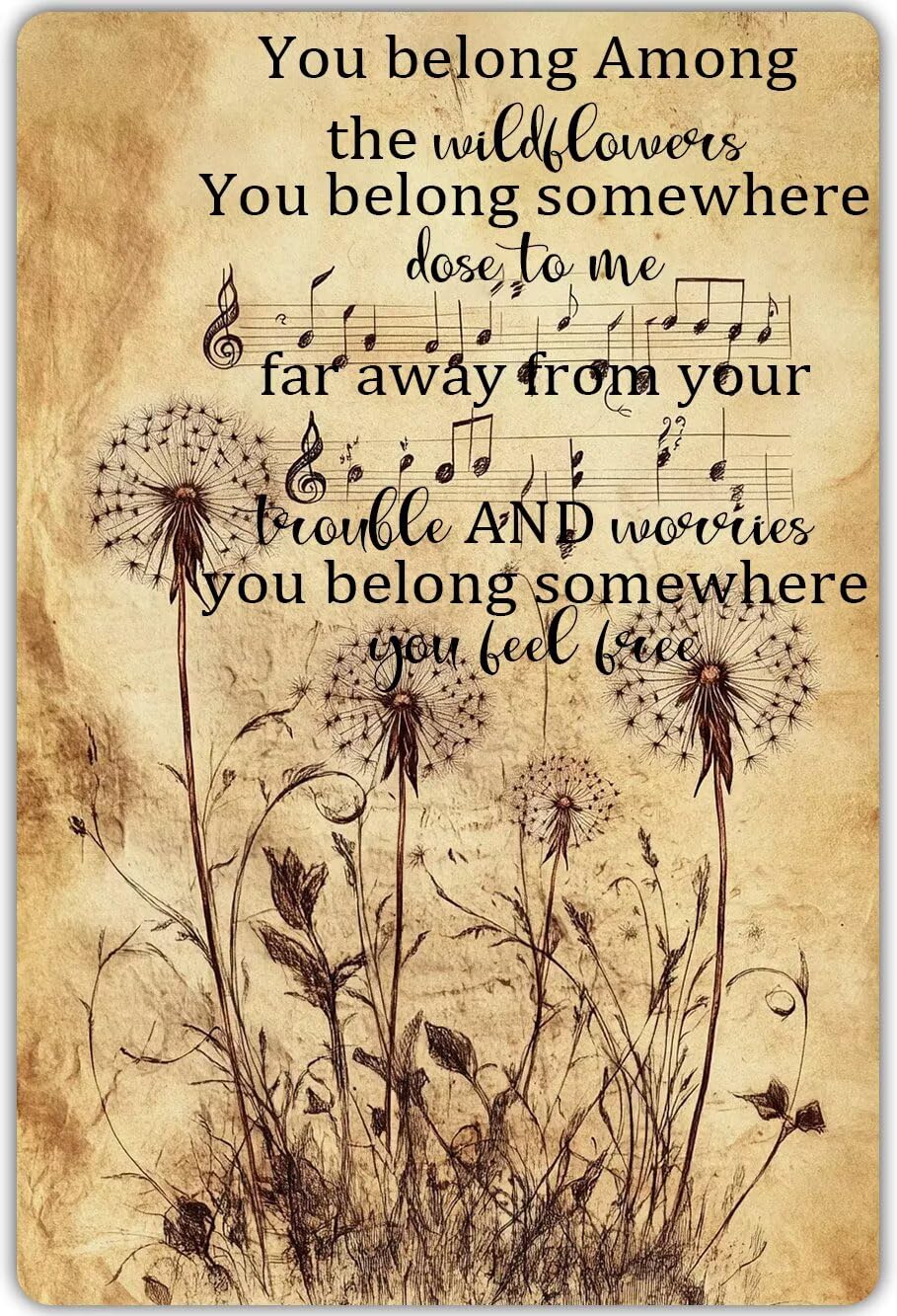 Peiyeety A003 Metal Tin Sign You Belong Among The Wildflowers Quote Art Decorative 6X8 Inch Vintage Retro Wall Art Plaque For Home Garden Living Room Farmhouse Rustic Themed Wall Decor