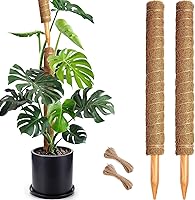 Soupiar 2-Pack 22" Stackable Moss Poles - 1.8" Thick Natural Coir Totem for Monstera, Pothos, Climbing Plants up to 38" Tall