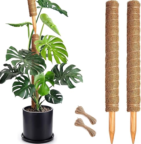 Miniatura 15 de Paquete de 2 postes de musgo, poste de musgo flexible de 28 pulgadas para plantas Monstera, postes de musgo para plantas trepadoras