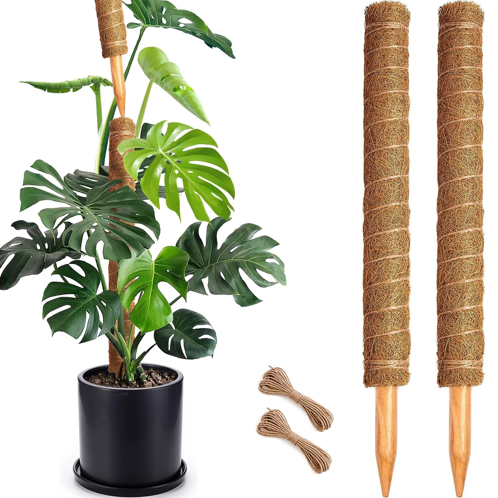 Amazon.com : Soupiar 2 Pack 22 Inch Stackable Moss Pole - Thick