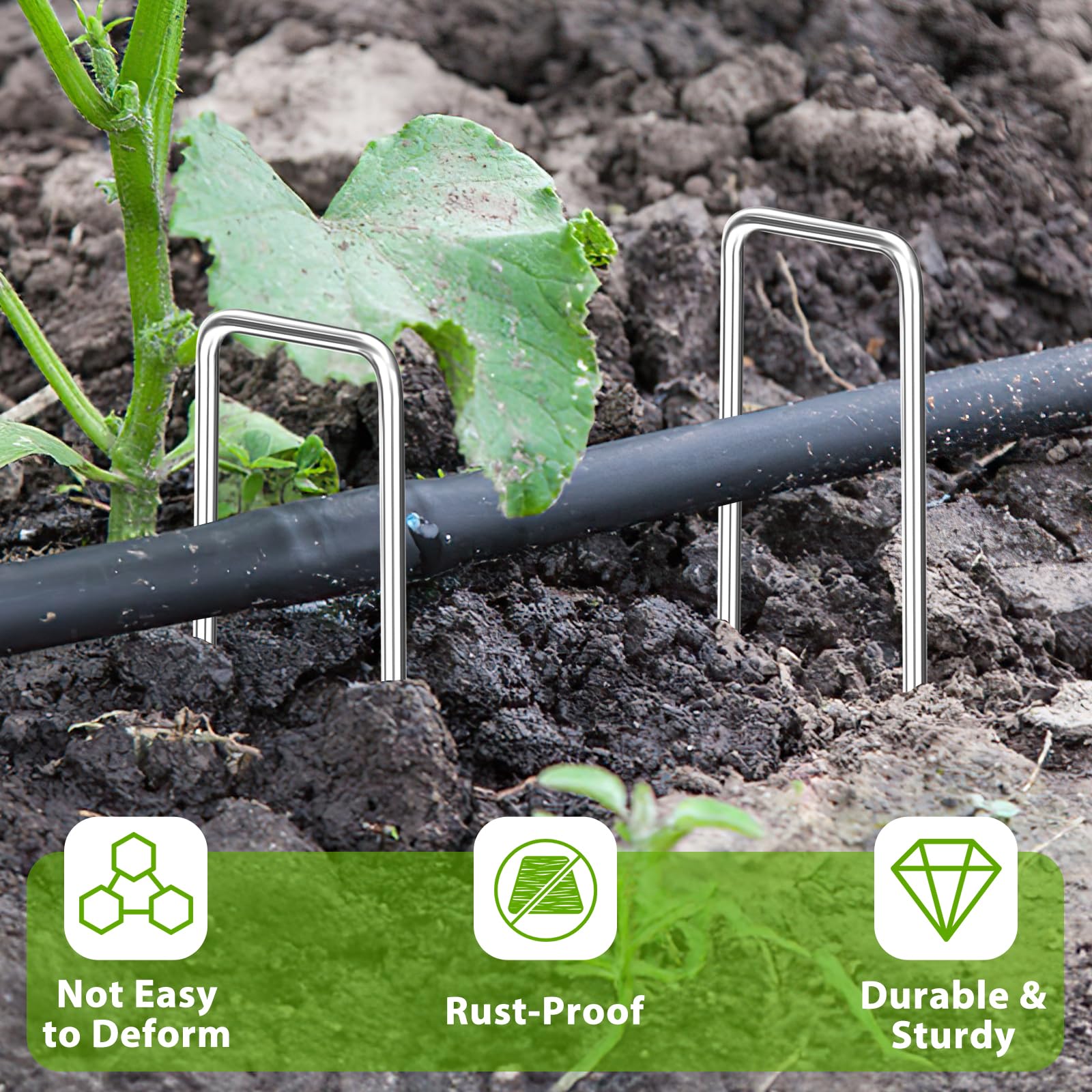 Estacas de jardín de 12 pulgadas, paquete de 50 grapas galvanizadas en forma de U, estacas resistentes para decoración al aire libre, tela de barrera contra malezas, tubos de riego, valla