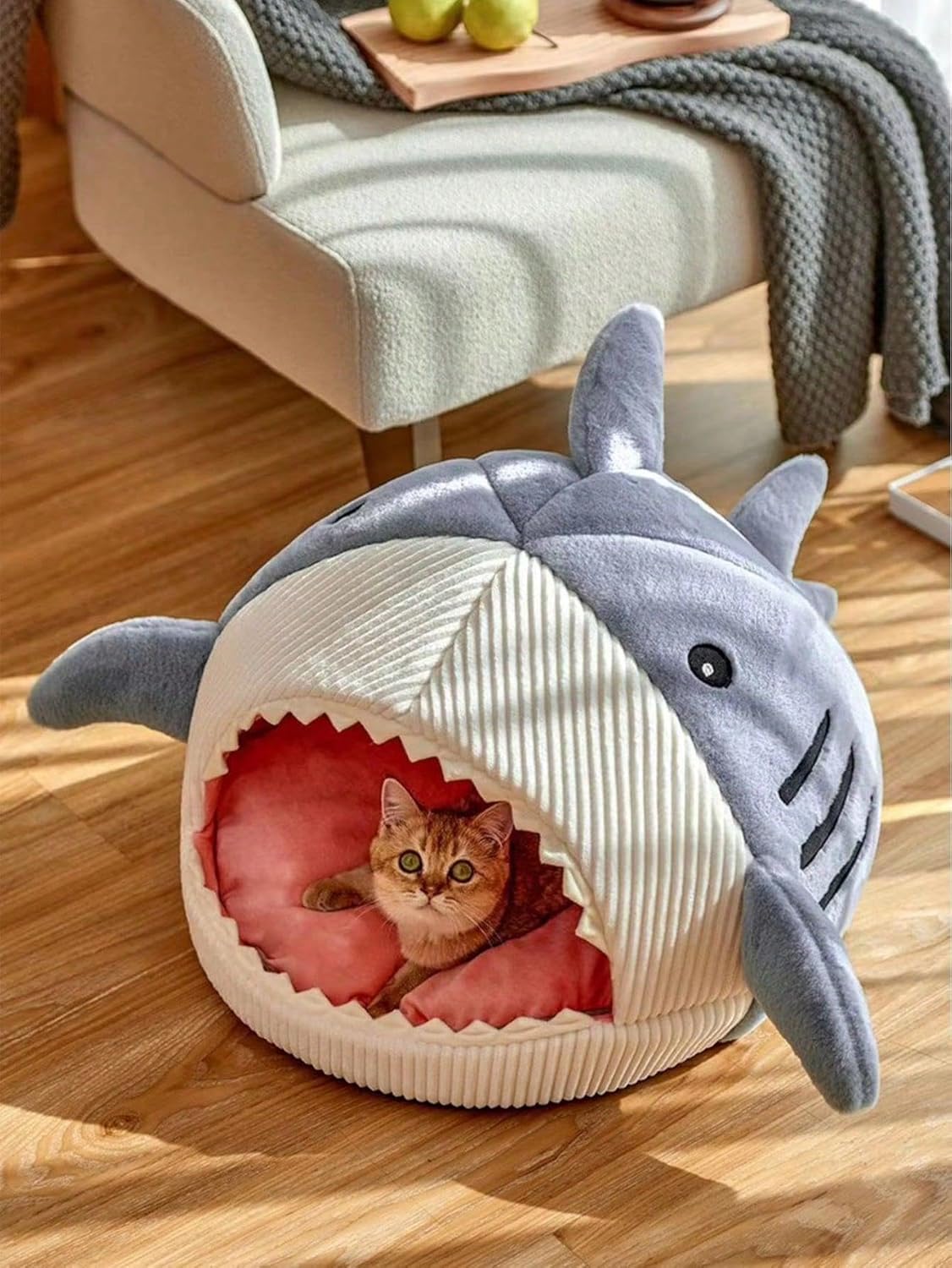 Dive into Comfort: QWINEE Shark-Shaped Cat Bed Review