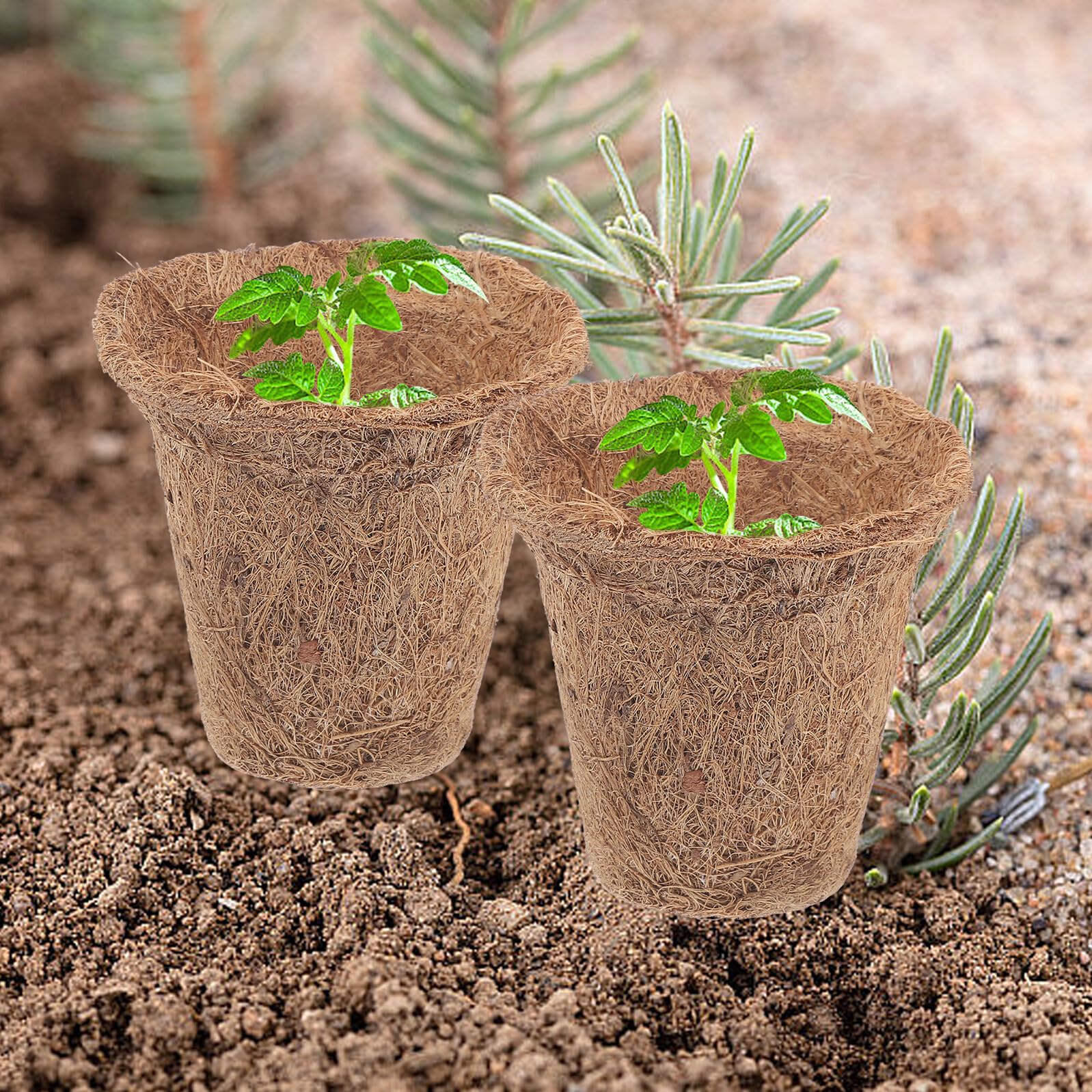 10 Pots de Démarrage, 10 Paquet de Terreau, 15 Étiquettes pour Plantes Jardinière Écologique pour Semis et Plantation en Intérieur et Extérieur