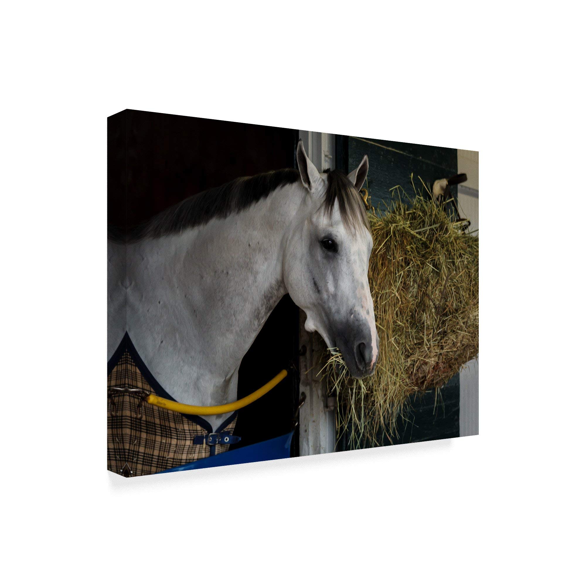 Trademark Fine Art ALI34992-C2432GG Fine Art, 24x32-Inch, Multicolor