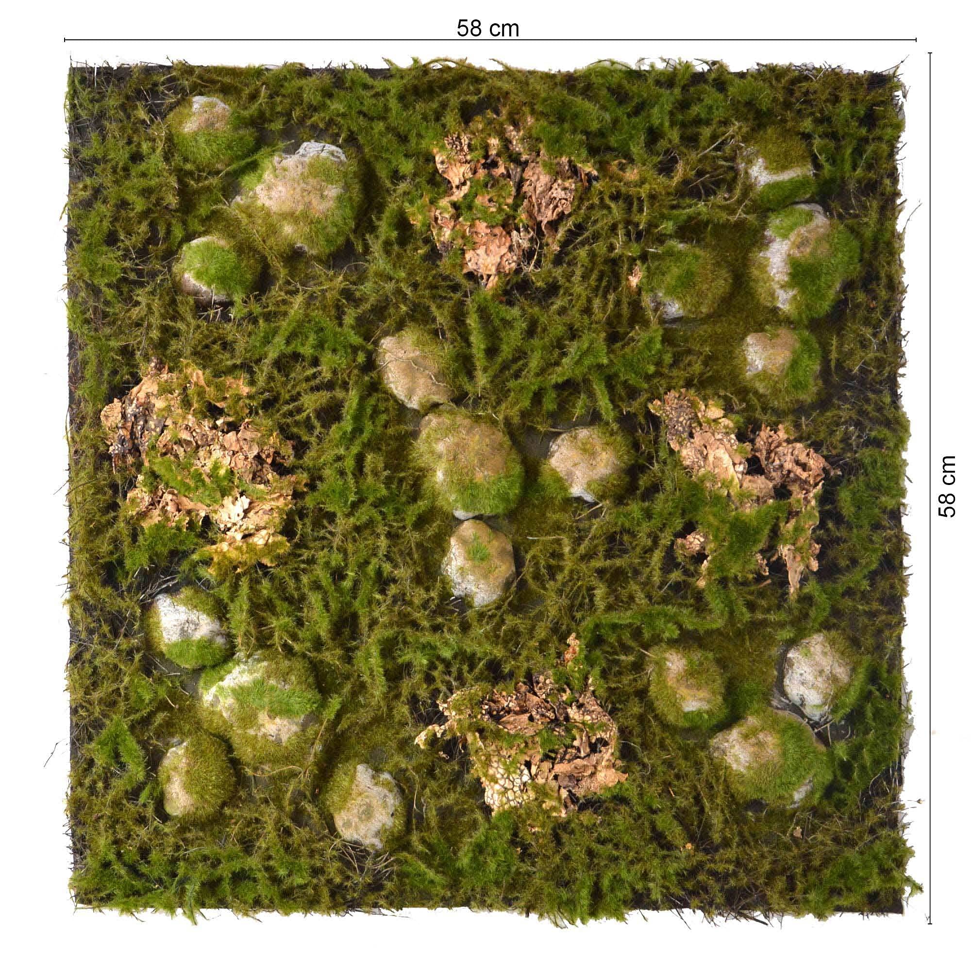 REPITERRA Terrario pareti posteriori design diverso foresta piccolo