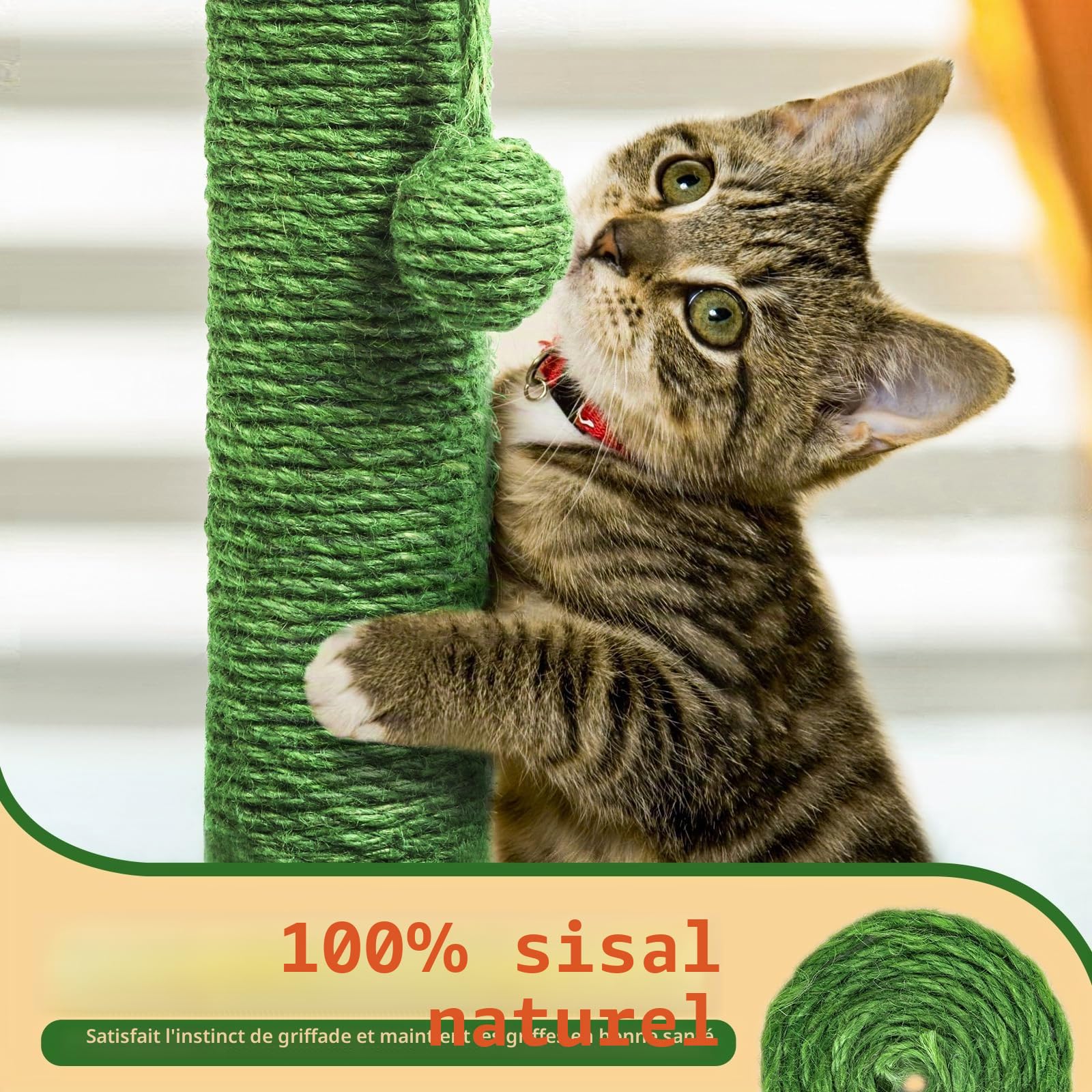 Mora Pets Griffoir Cactus Arbre à Chat Poteau Arbre Chat Tour Griffoir pour Petit Chats en Sisal 82.9 x 39 cm (H x Ø)