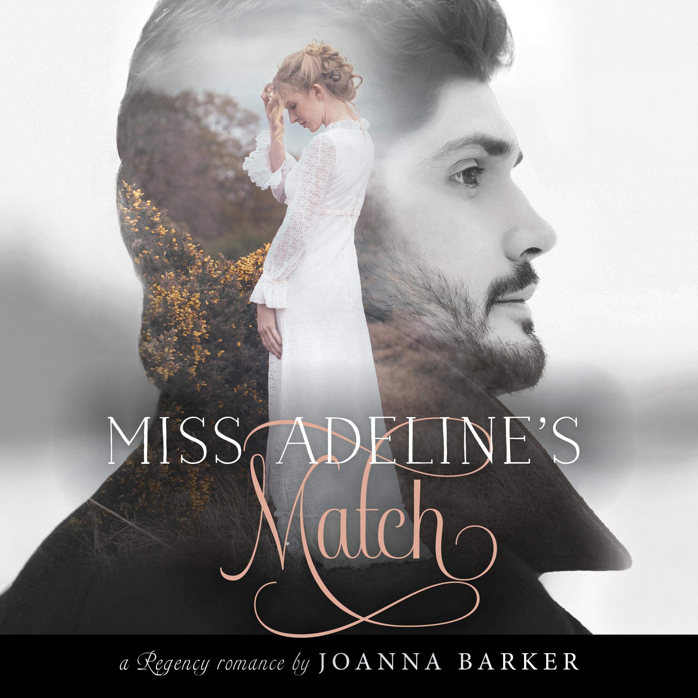 Cover art for Miss Adeline’s Match