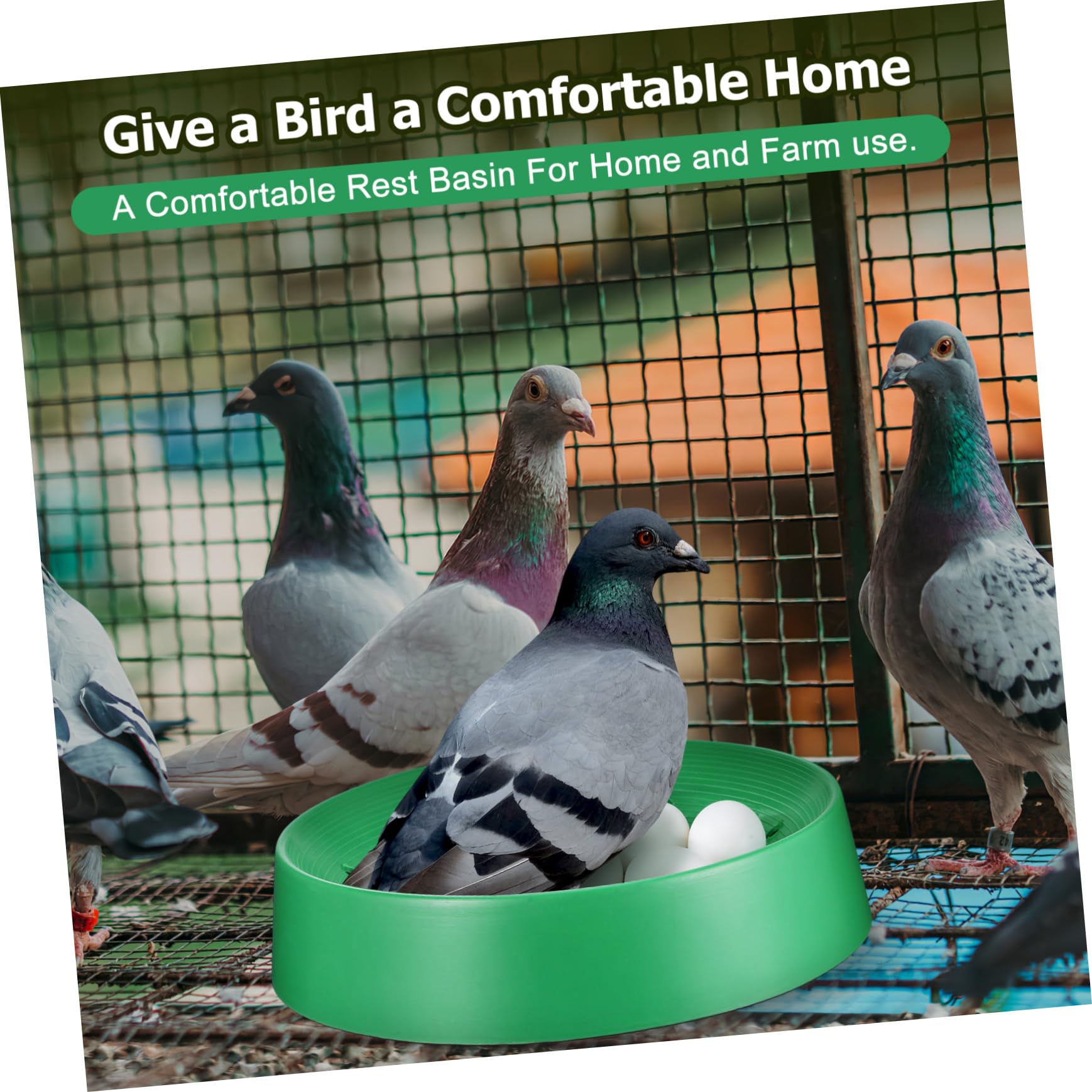 Cabilock 10pezzi Nidi per Piccioni Basini per Uova di Uccelli Letto per Animali Domestici Accessori per Allevamento di Pappagalli e Piccioni per Casa e Fattoria