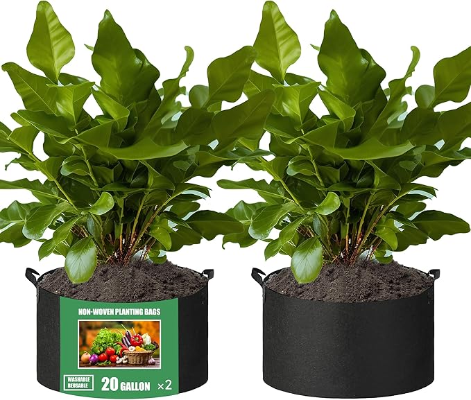 2-Pack 20 Gallon Fabric Grow Bags with Handle, Heavy Duty