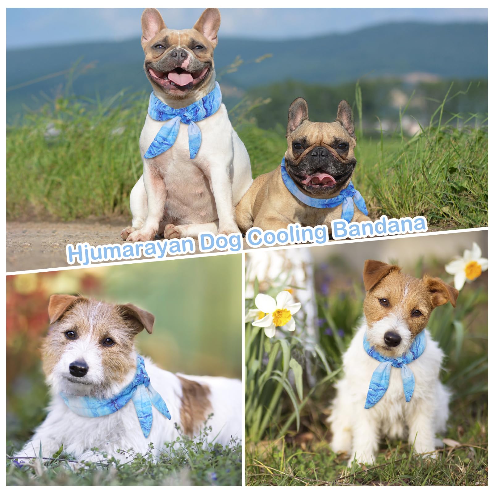 Kühlhalsband Für Hunde - Kühlendes Bandana Für Heiße Sommertage