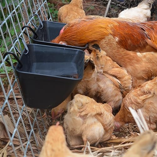 Miniatura 3 de Essilnn Comedero colgante para pollos para cabra, oveja, lechón, ciervo, perro, pato, aves de corral, contenedor de alimentación pequeño para ganado