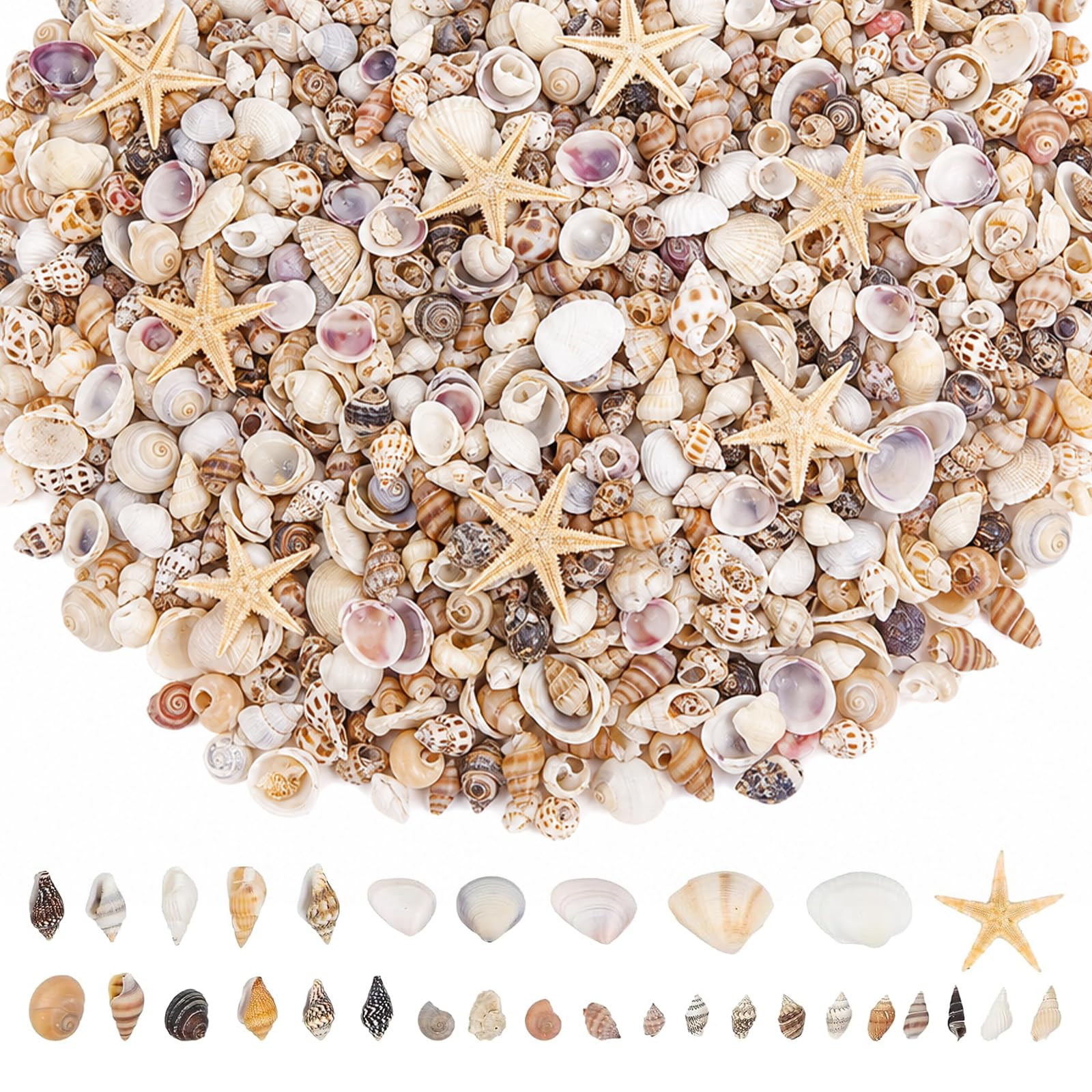 1000PCS Mixed Mini Sea Shells with Starfish, Natural Small Seashells Mixed Sizes for Crafts, DIY Beach Decor, Wedding Table Decoration, Fish Tank Vase Filler Coastal Ornament Theme Decorations