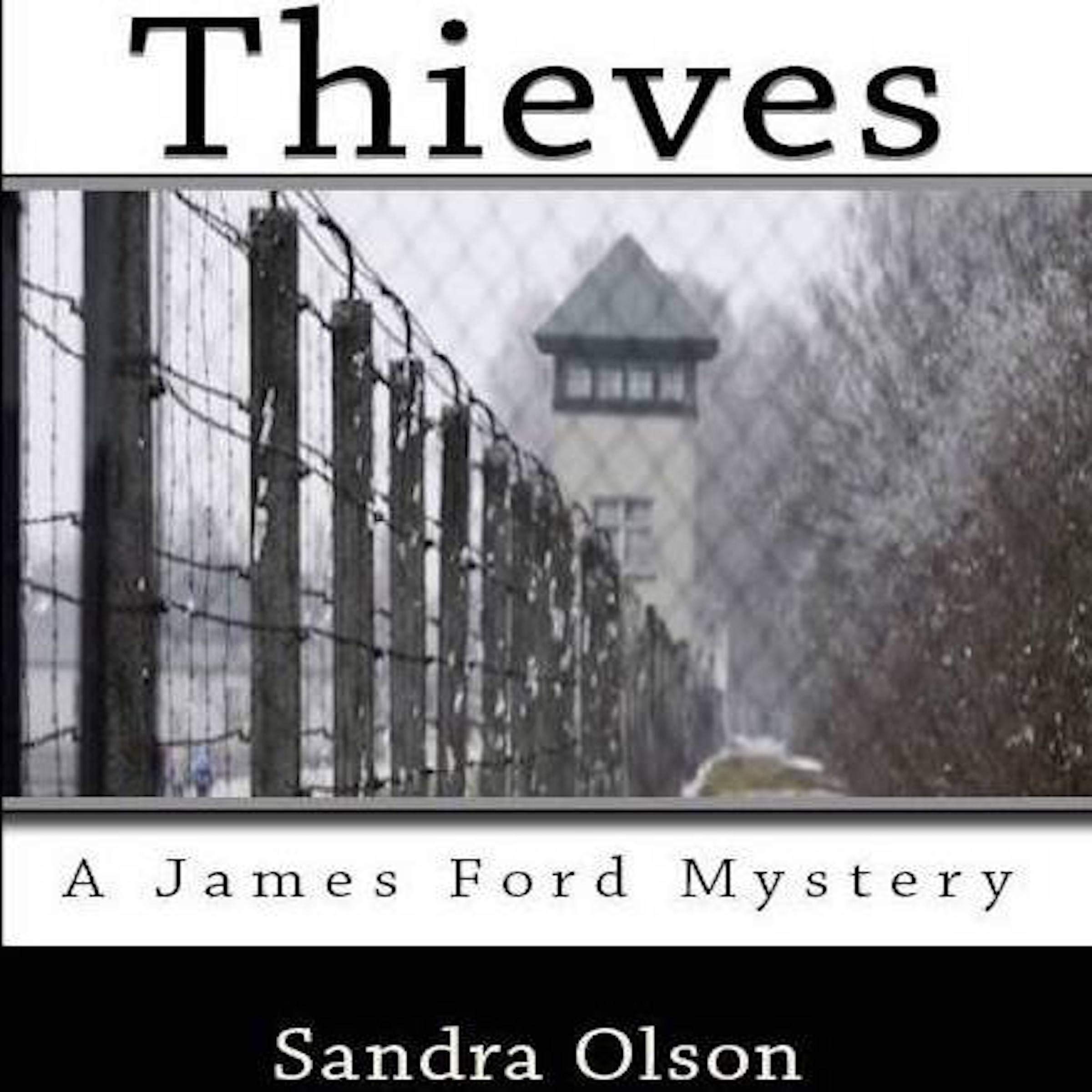 Thieves (A James Ford Mystery)