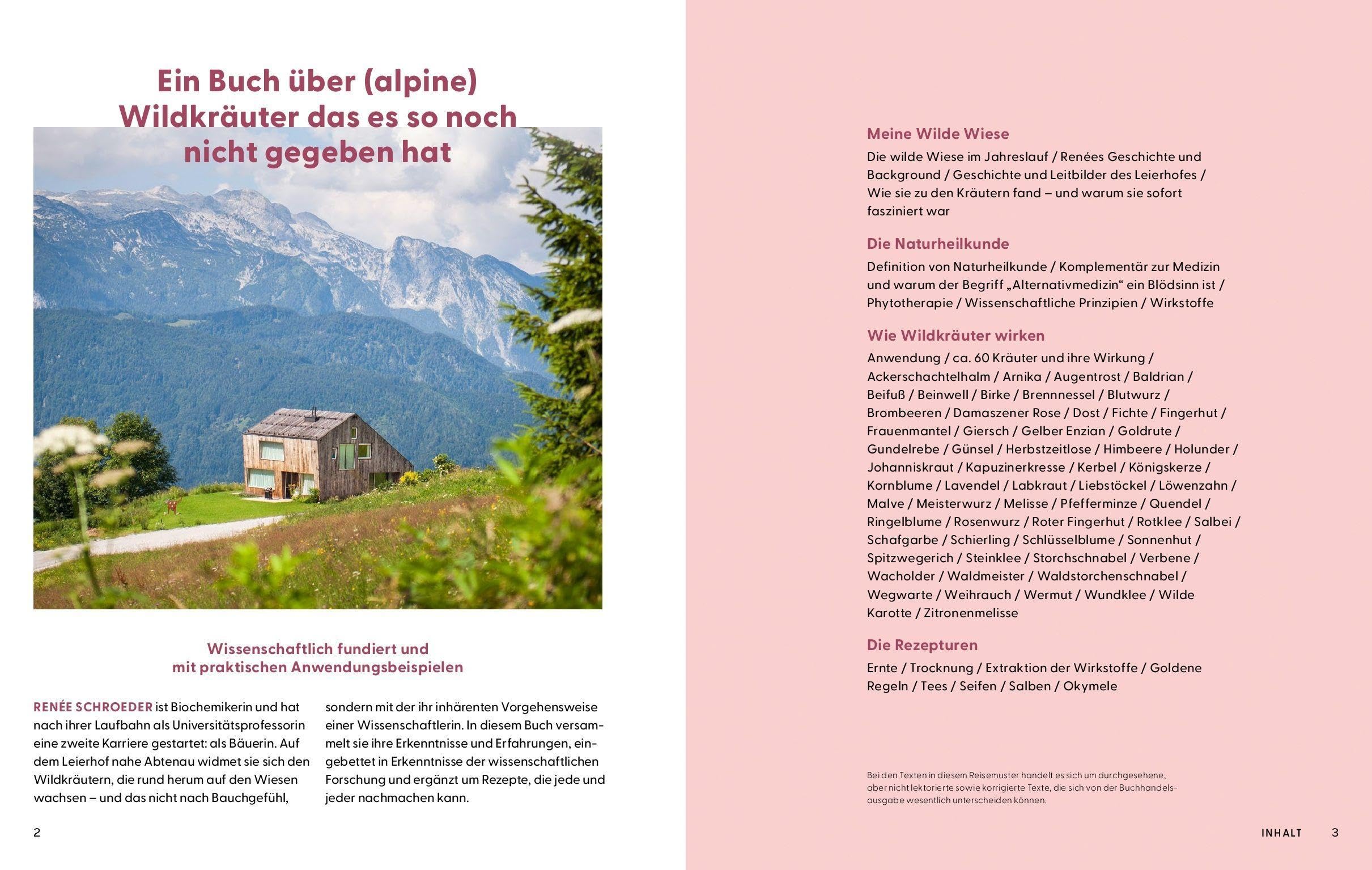 Wie Wildkräuter wirken: Wie wir die Heilkraft der Pflanzen nutzen können und was die Wissenschaft dazu weiß