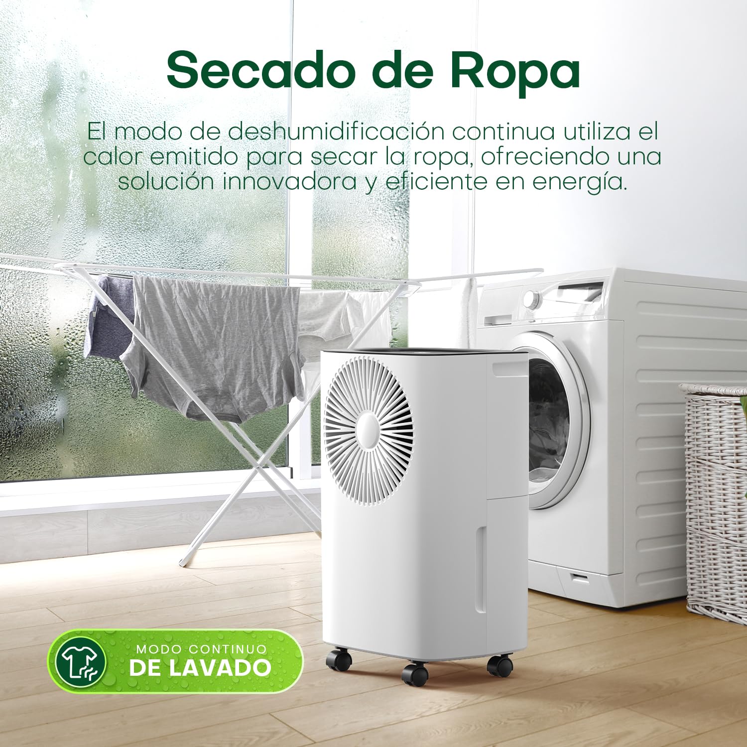 CONOPUPlus Deumidificatore Portatile 12 Litri/giorno, Scarico Continuo, Deumidificazione Auto, Modalità Sonno, Timer 24h, Deumidificatore Casa Muffa, per un'Esperienza Confortevole e Asciutta