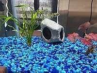 Review Image by Candace G Candace G