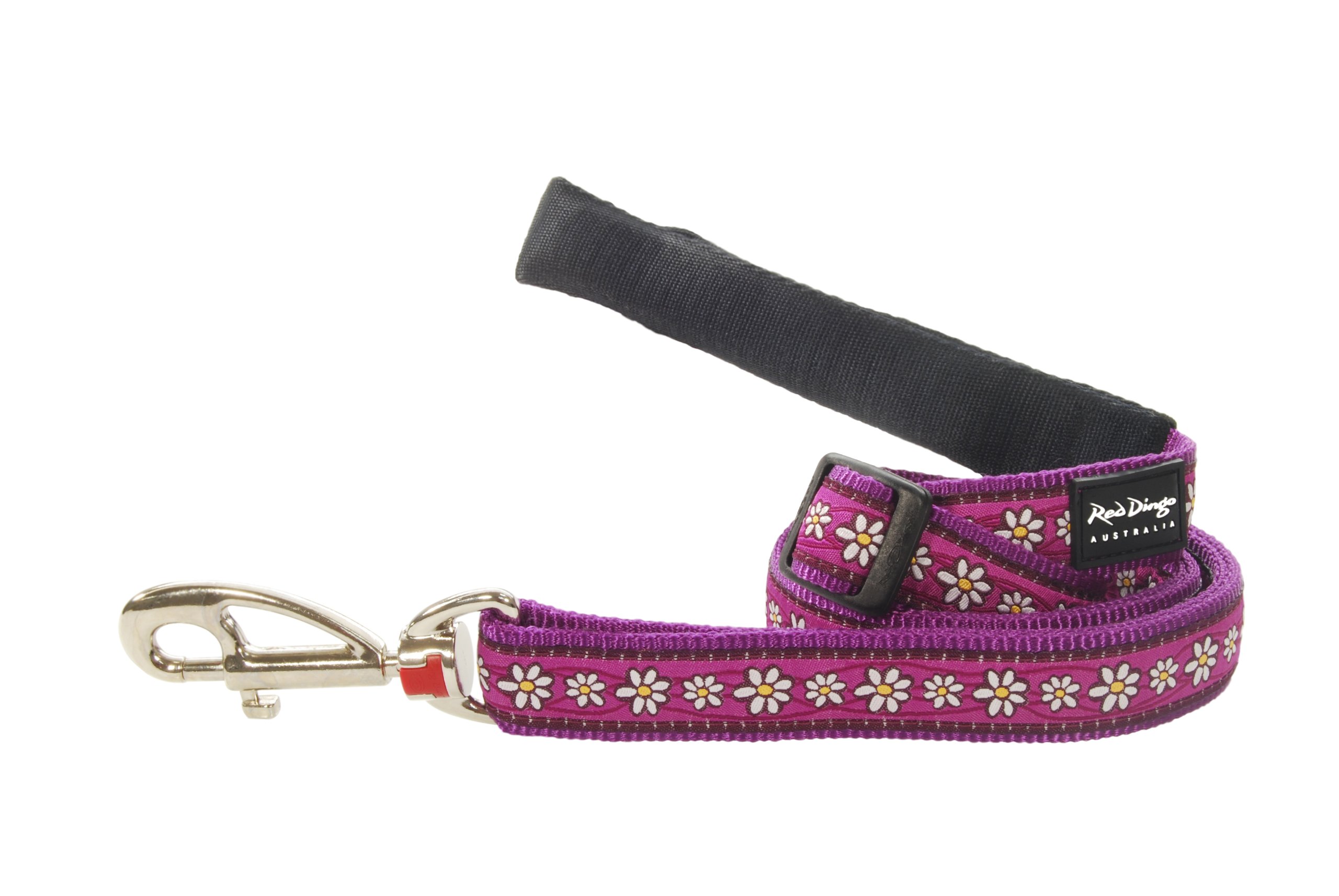 Red Dingo Designer Dog Lead, Large, Daisy Chain Purple