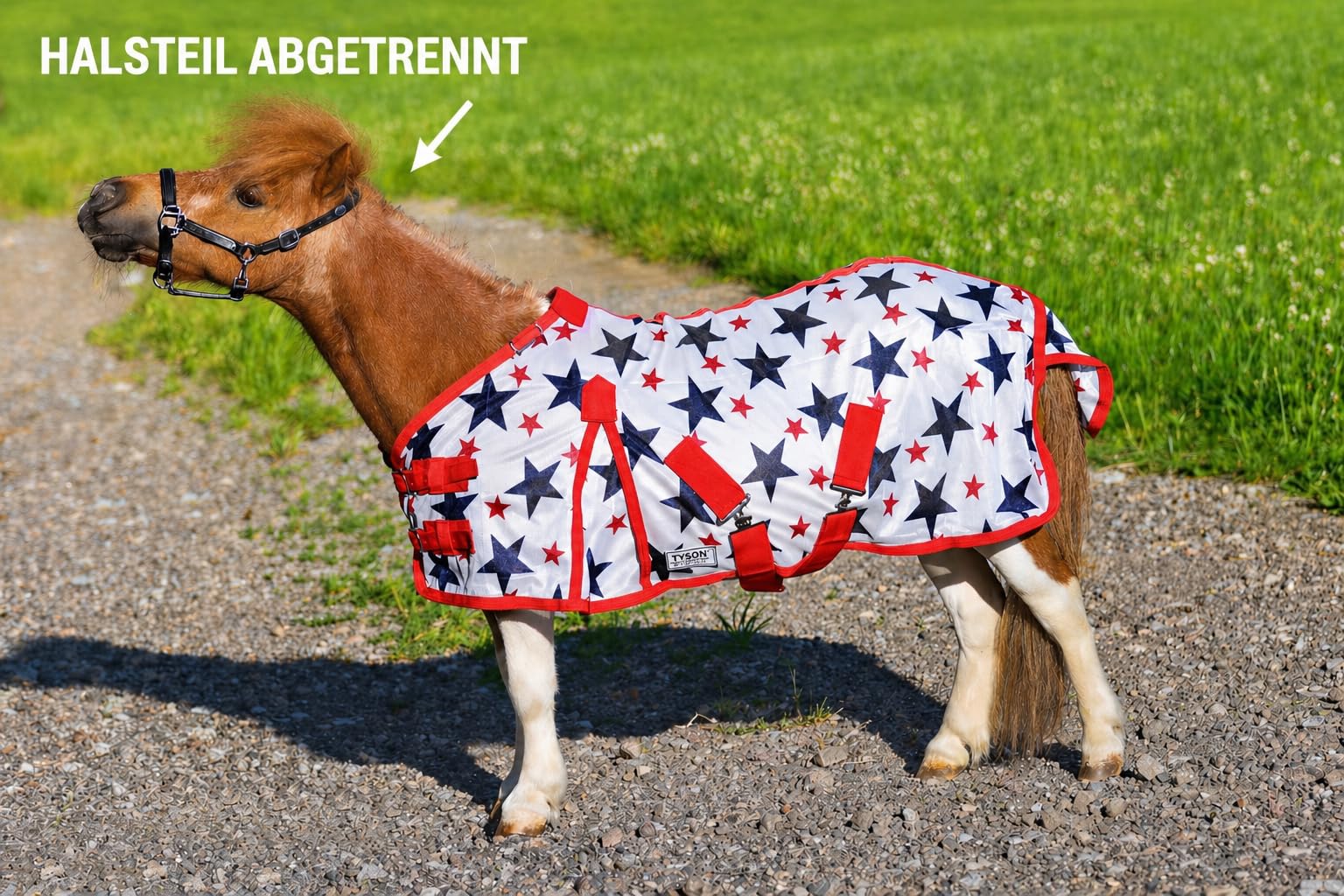 Fliegendecke Minishetty Shetty Welsh Fohlen Falabella 70 75 80 85 90 95 100 cm Sterne Mash Fliegenschutz Sterni Decke Fliegen Decke (80cm)