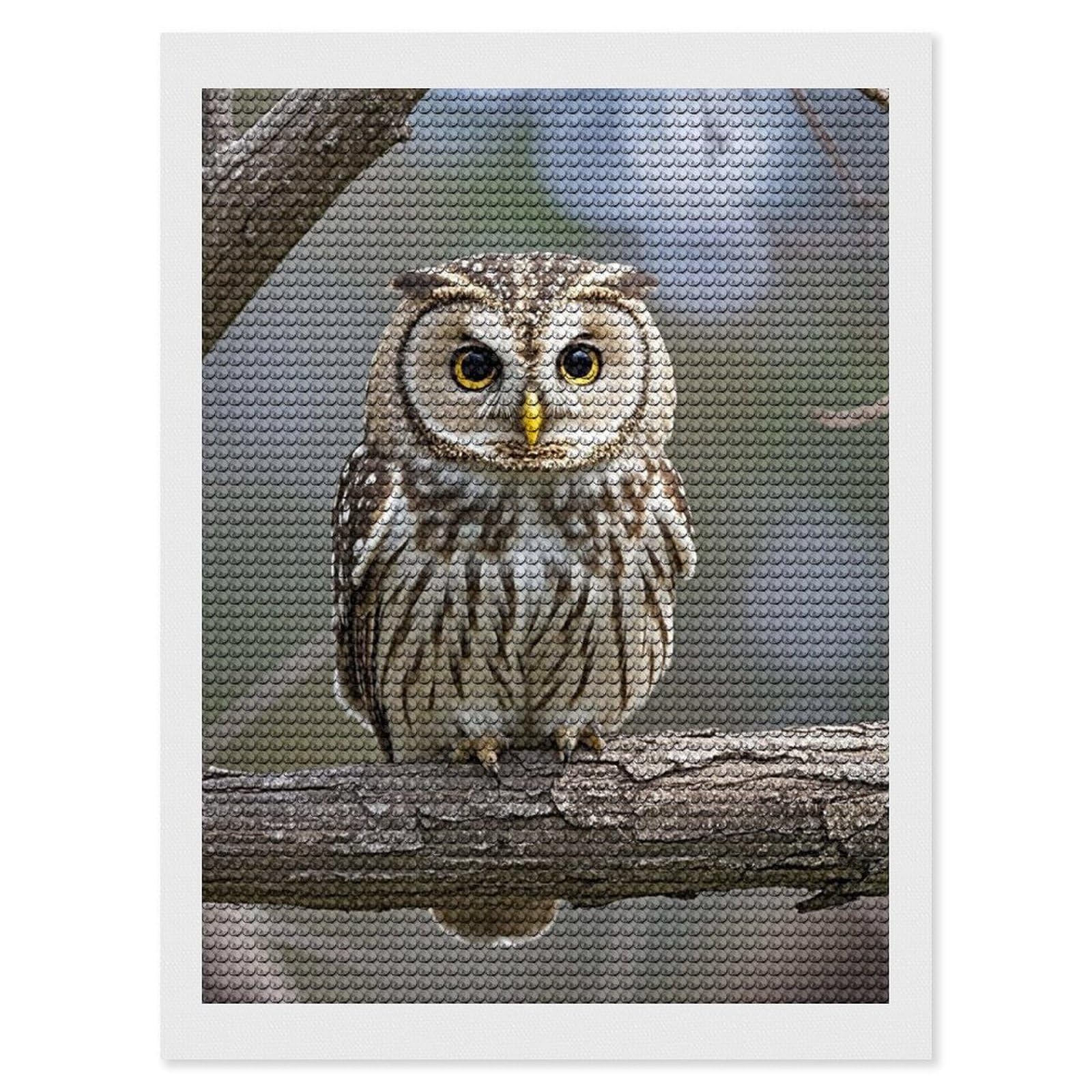 Cute Owl Diamond Painting Kits for Adults, DIY 5D Diamond Painting Kits for Beginners, Round Full Drill Diamond Dots Paintings, Diamonds Pictures Gem Art for Crafts Home Decor 12"x16"