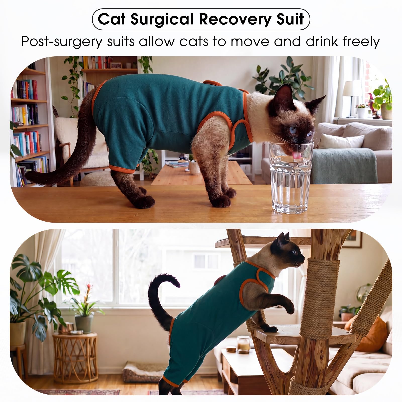DENTRUN Tuta per il recupero del gatto, tuta intera post-operatoria con zampe posteriori, bottone a pressione posteriore, facile da mettere e togliere, previene leccate e protezione dalle ferite