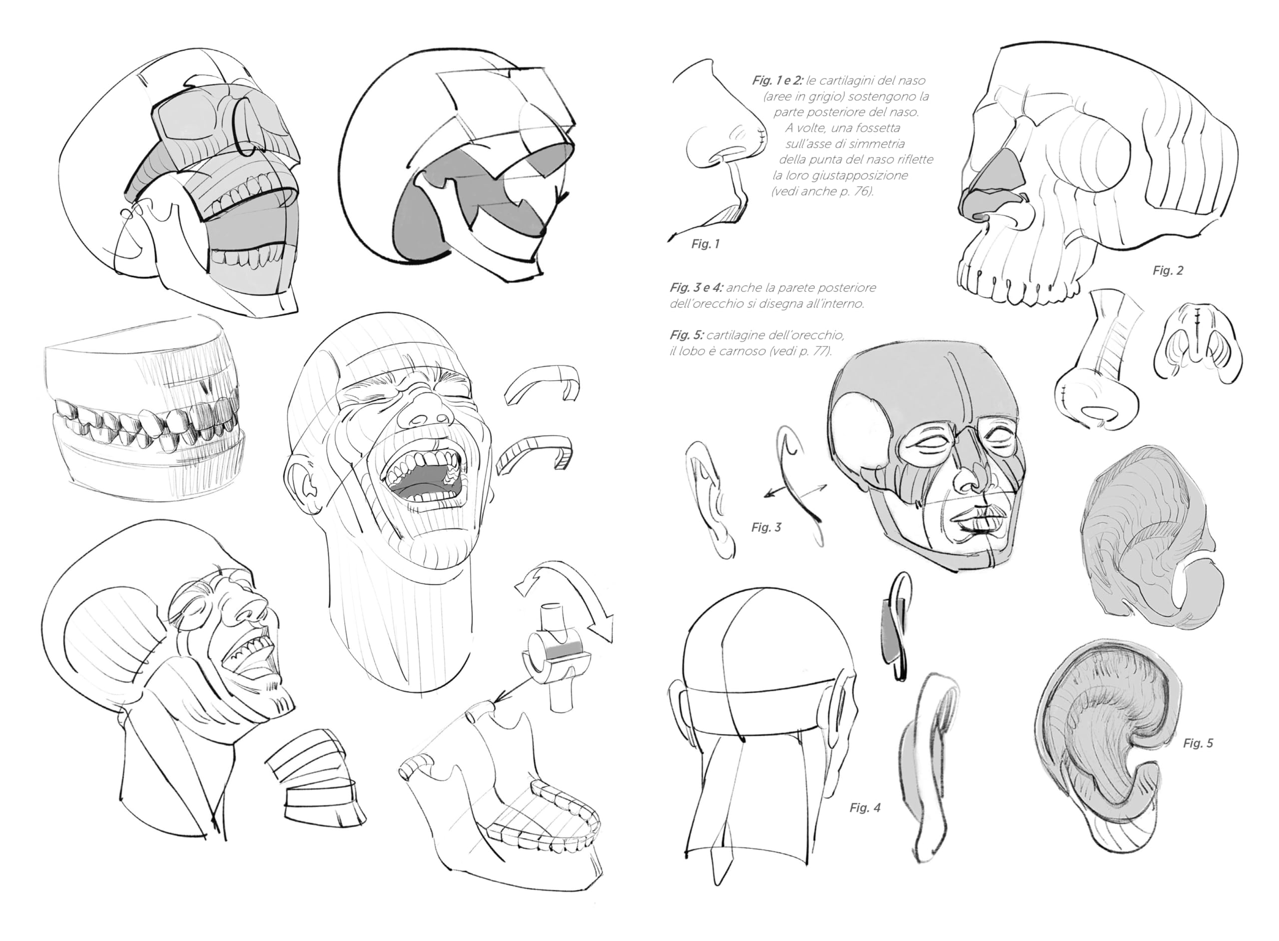 Anatomia artistica. Mani, piedi, testa e collo (Vol. 3)