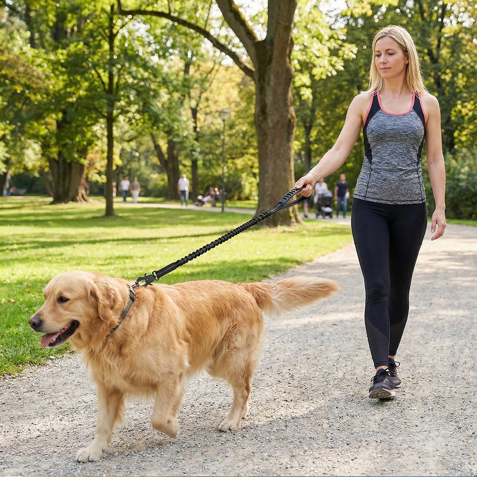 View 3