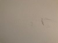 Review Image by Connor G Connor G