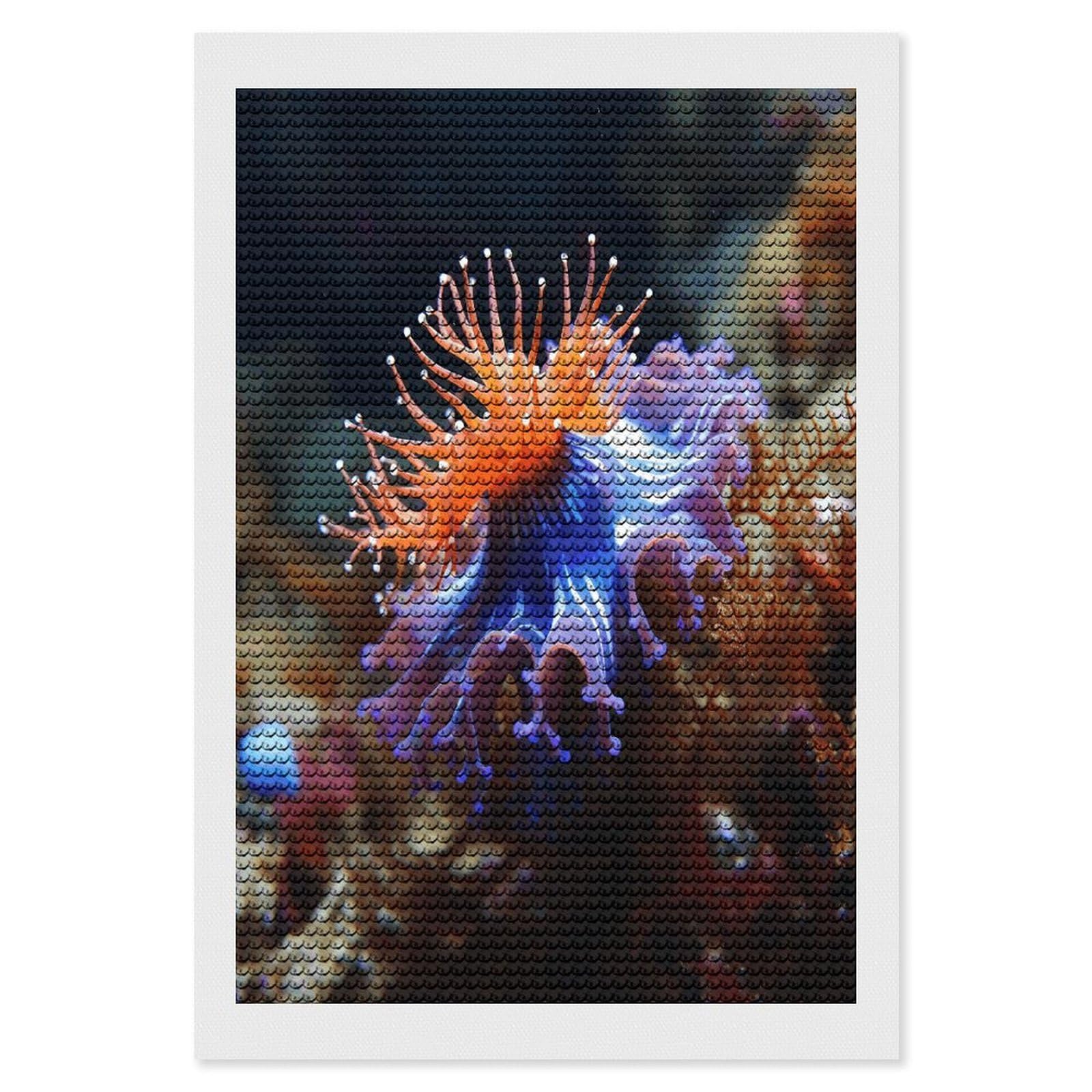 FekiLoot Nudibranch Diamond Art Kits for Adults Diamond Painting Kits for Beginners DIY Diamond Art Kits Round Full Drill Diamond Dot Gem Painting for Home Wall Decor Gift 8"x12"