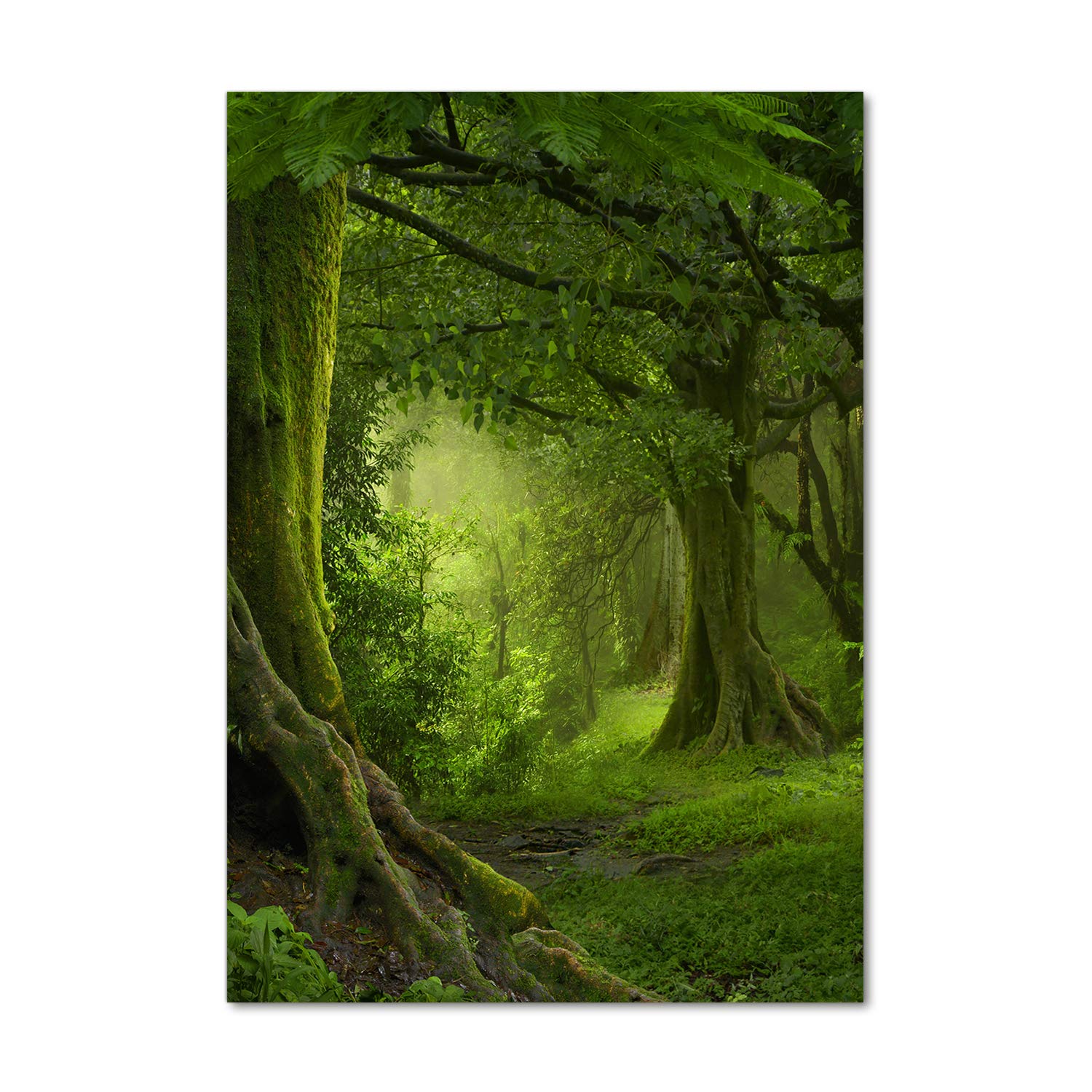 Impression sur verre acrylique Tulup anti-reflet et durable 70x100 paysage jungle tropicale