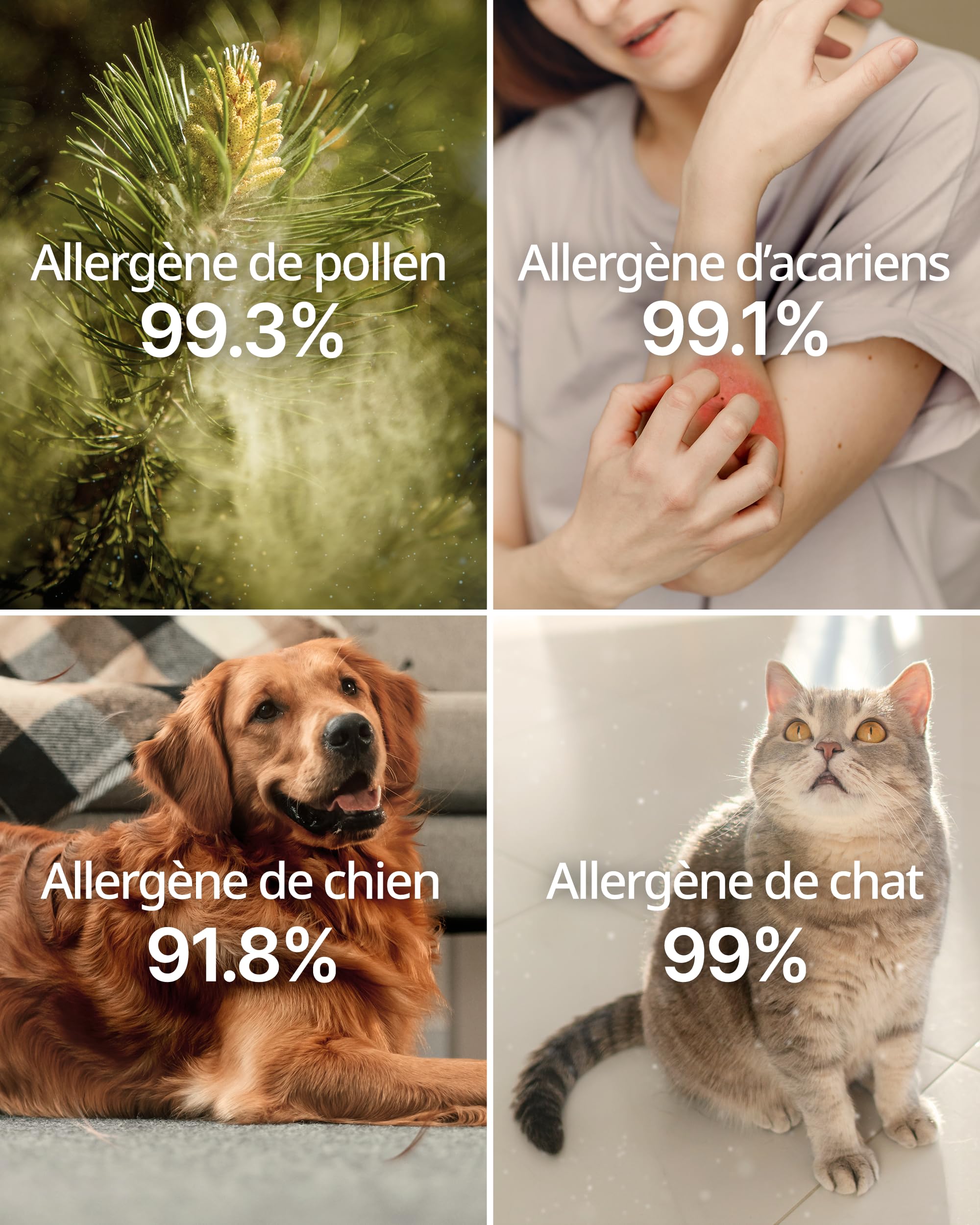 Mighty Allergen FilCOWAY Filtres de rechange pour Airmega Mighty AP-1512HH & 200M – Pack de 2 filtres anti-allergènes + 1 GreenHEPA – Spécial allergies, purifie l’air efficacement pendant 1 anter Set
