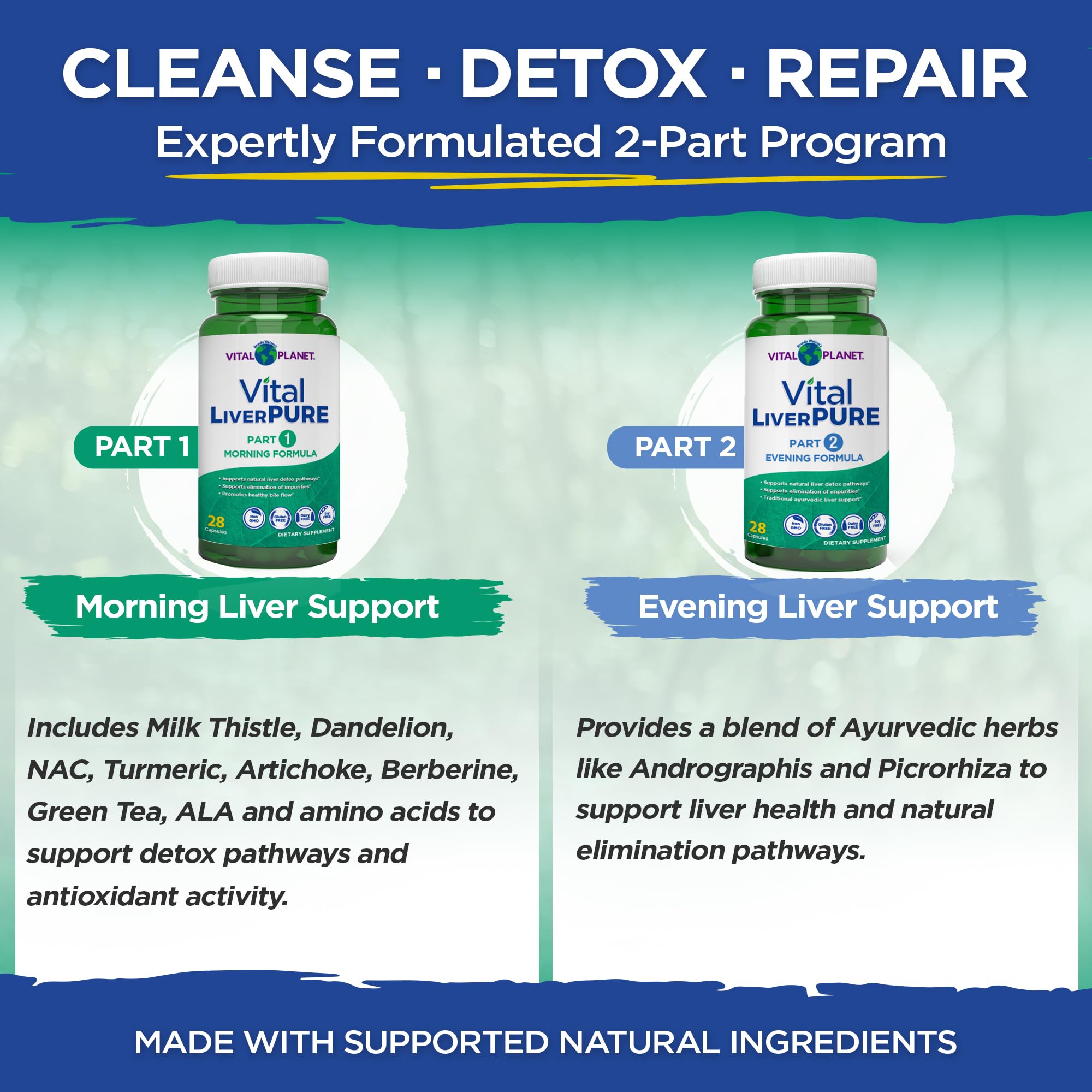 Vital Planet – Vital Liver Pure Liver Cleanse Detox & Repair with Milk Thistle, NAC Supplement N-Acetyl Cysteine, Andrographis, Dandelion, Turmeric, Alpha Lipoic Acid, 2-Part 14-Day Kit, 56 Capsules — Amazon image 4