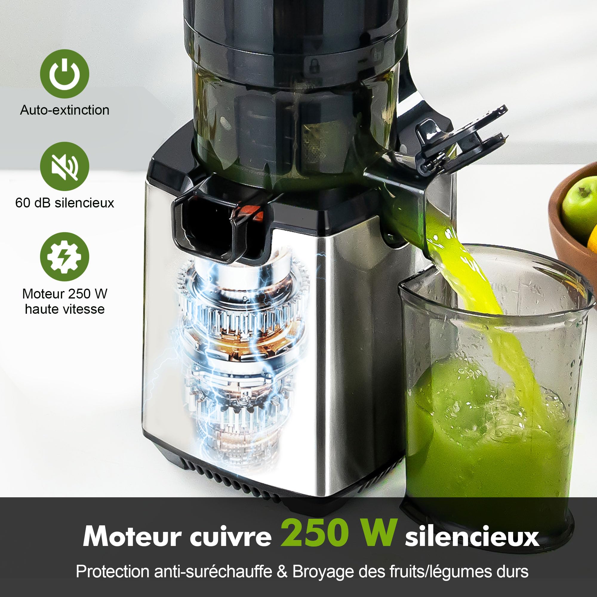 Fretta Extracteur de Jus à Mastication Lente 250W, Grande Goulotte 135mm, Sans BPA, Argenté