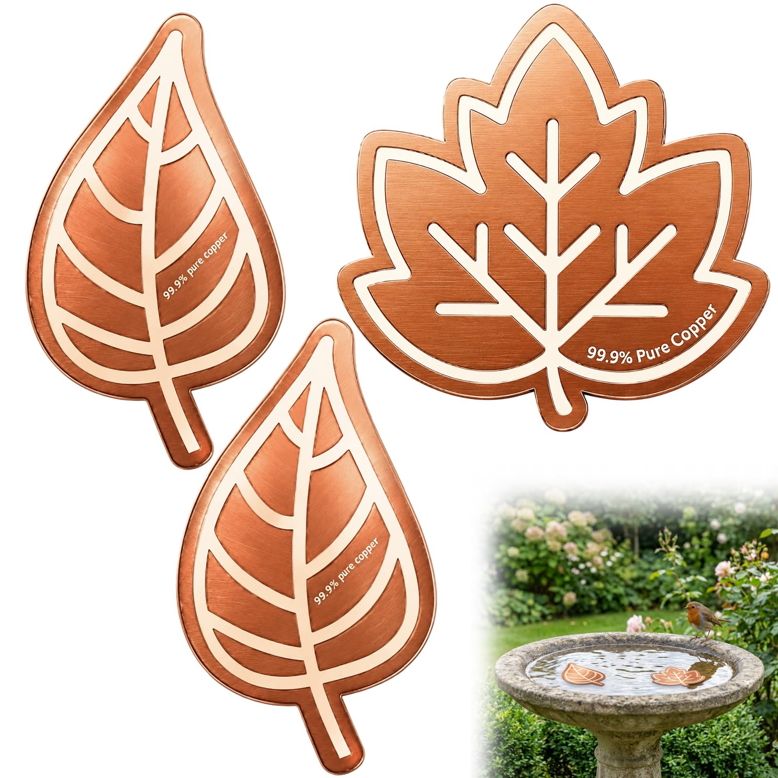 QhgPnt 3 Pcs Copper Disc for Bird Bath, Bird Bath Purification Disk, Copper Bird Bath Cleaner, Garden Water Feature Maintenance, Leaf Design
