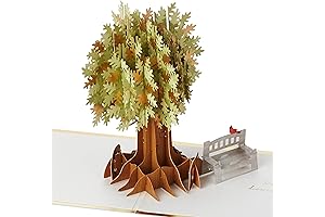 Hallmark Signature Paper Wonder Pop Up Card (Thinking of You, Sympathy, Get Well Soon)