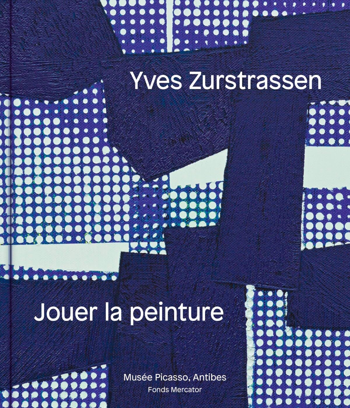 Yves Zurstrassen. Jouer la peinture Livre d'Art de Collection Actes Sud